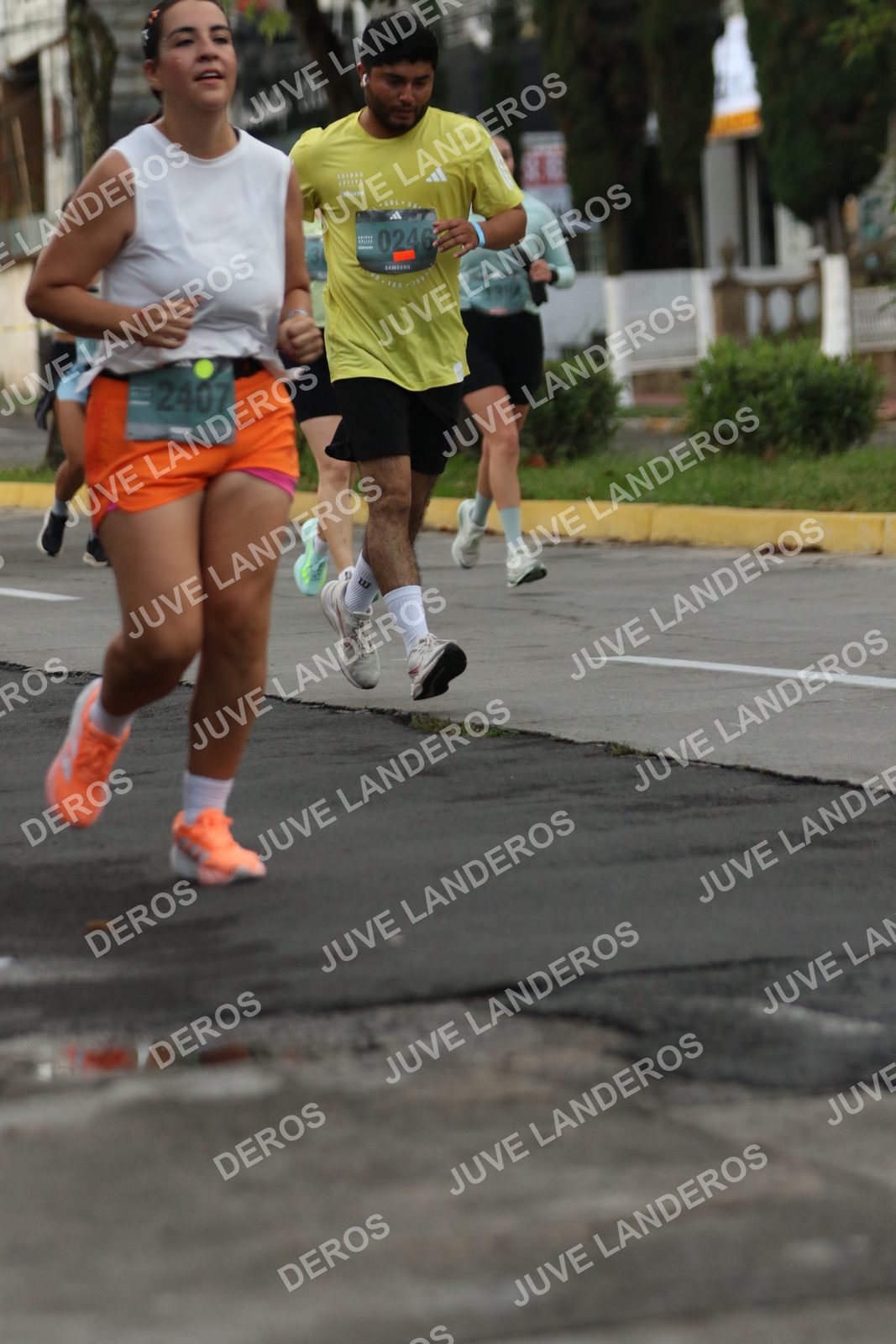 Foto de ADIDAS SPLITS GUADALAJARA 15K / 30K en Av. San Ignacio esquina Av. Ignacio L. Vallarta, Zapopan a las 06:58 · dorsal 2407, 246