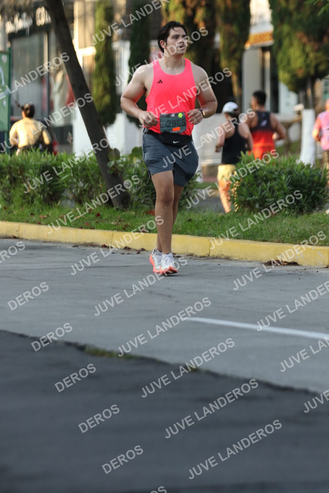 Foto de ADIDAS SPLITS GUADALAJARA 15K / 30K en Av. San Ignacio esquina Av. Ignacio L. Vallarta, Zapopan a las 07:22 · dorsal 2965
