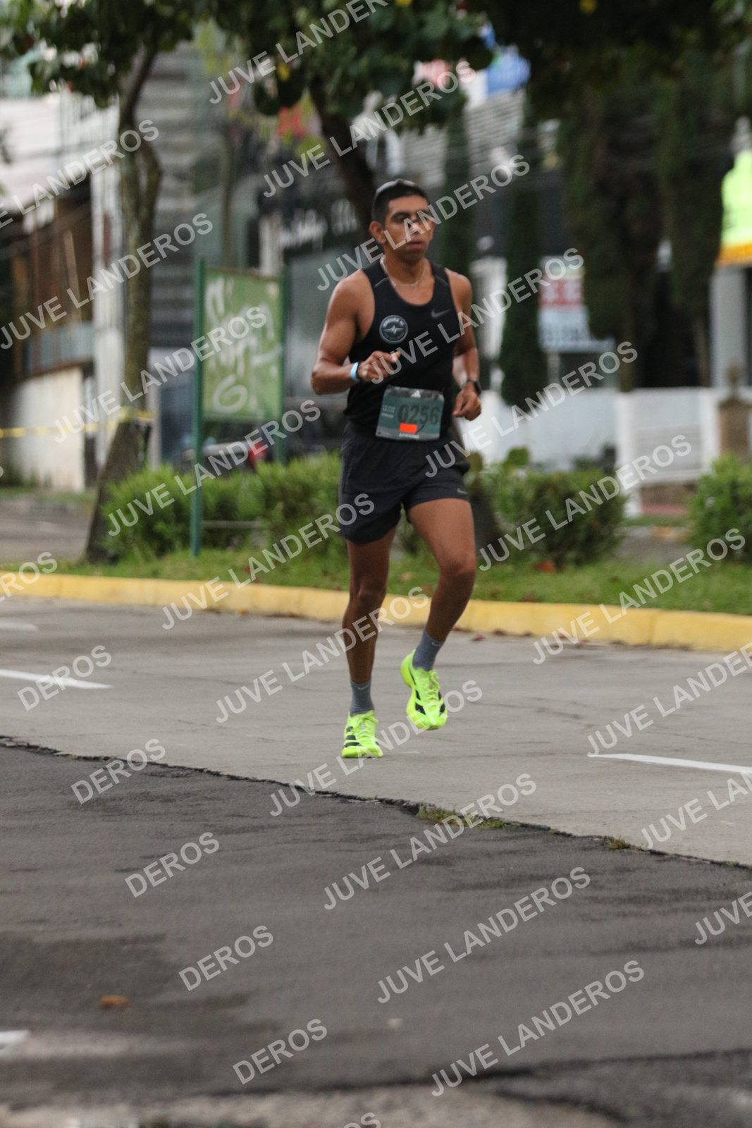 Foto de ADIDAS SPLITS GUADALAJARA 15K / 30K en Av. San Ignacio esquina Av. Ignacio L. Vallarta, Zapopan a las 06:49 · dorsal 256