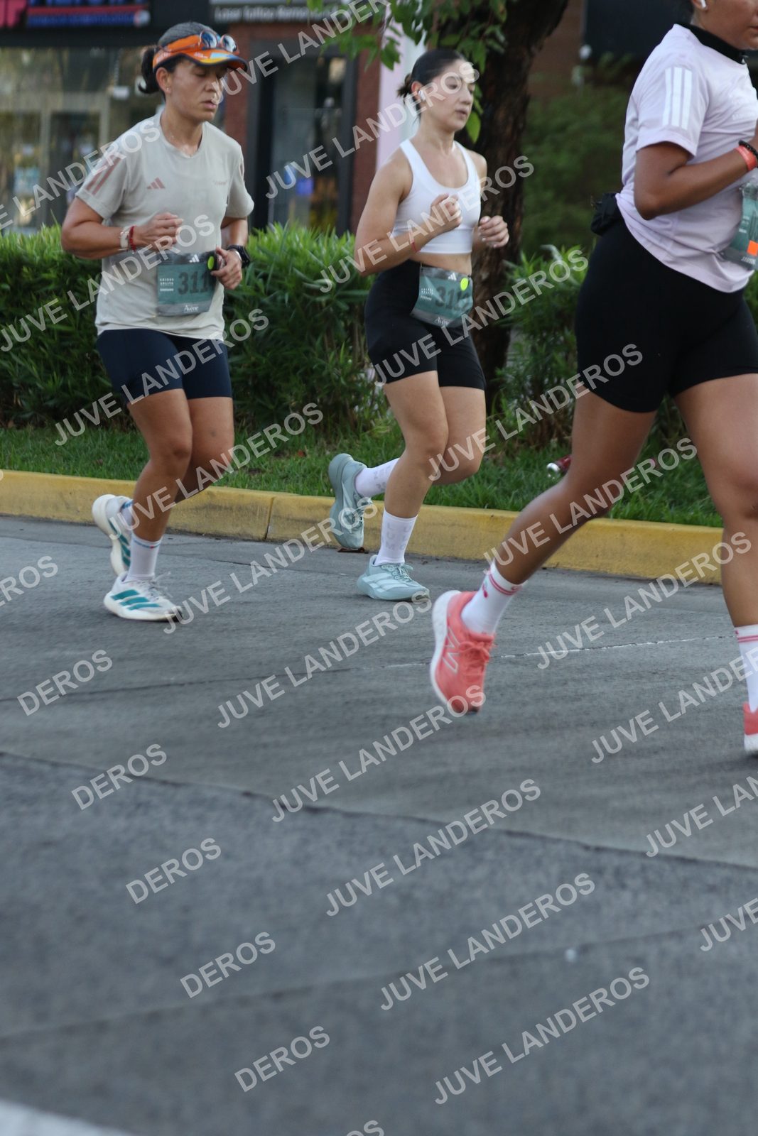 Foto de ADIDAS SPLITS GUADALAJARA 15K / 30K en Av. San Ignacio esquina Av. Ignacio L. Vallarta, Zapopan a las 07:36 · dorsal 311
