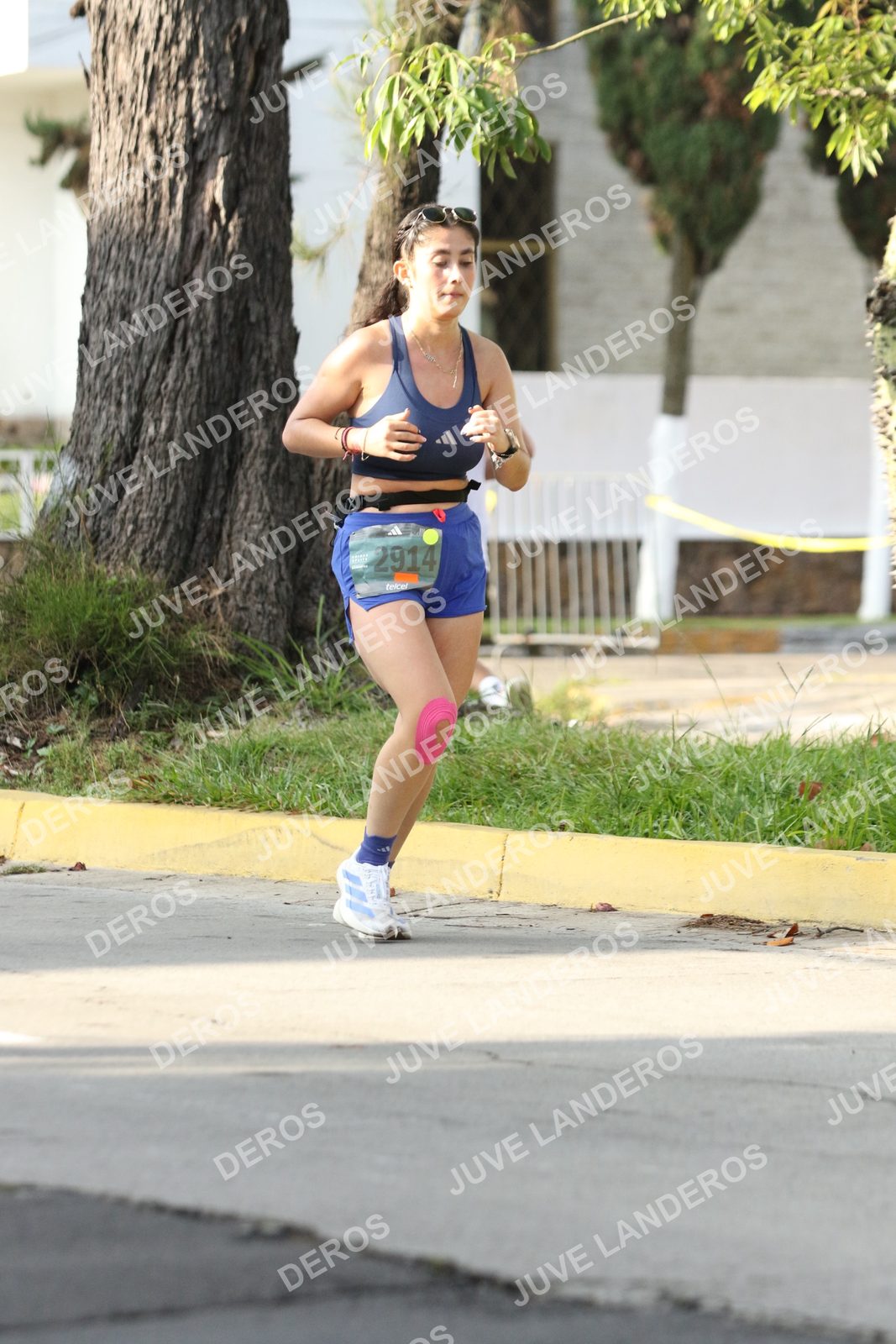 Foto de ADIDAS SPLITS GUADALAJARA 15K / 30K en Av. San Ignacio esquina Av. Ignacio L. Vallarta, Zapopan a las 08:32 · dorsal 2914