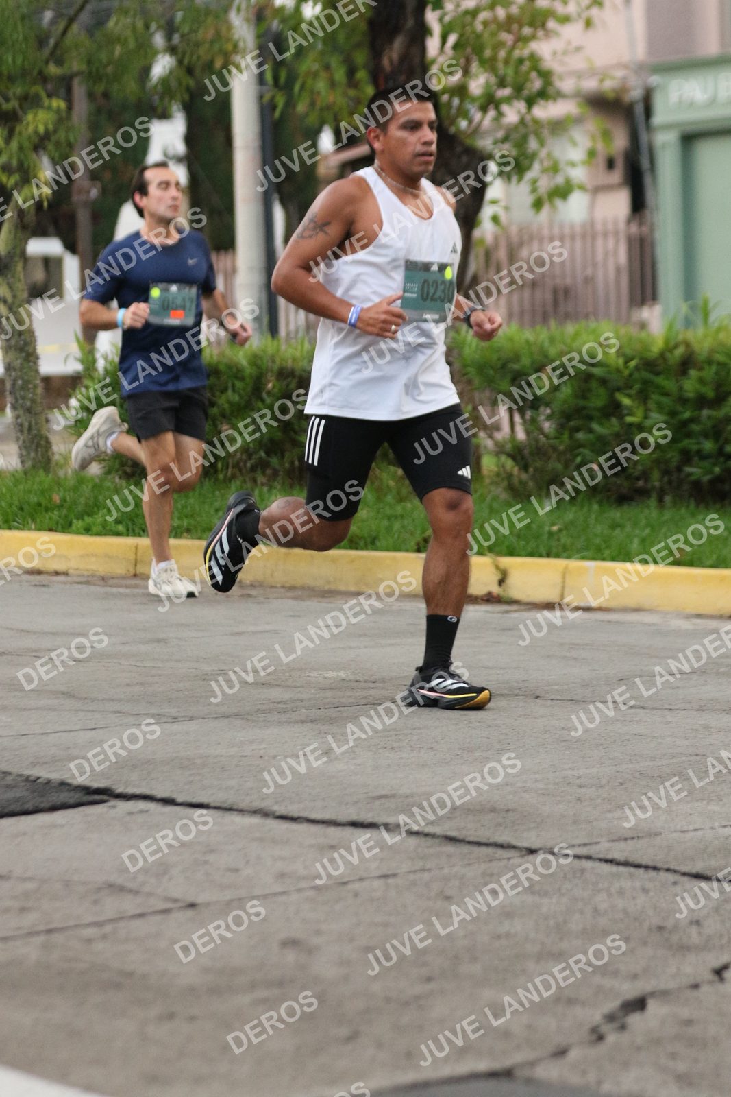 Foto de ADIDAS SPLITS GUADALAJARA 15K / 30K en Av. San Ignacio esquina Av. Ignacio L. Vallarta, Zapopan a las 06:50 · dorsal 230, 547
