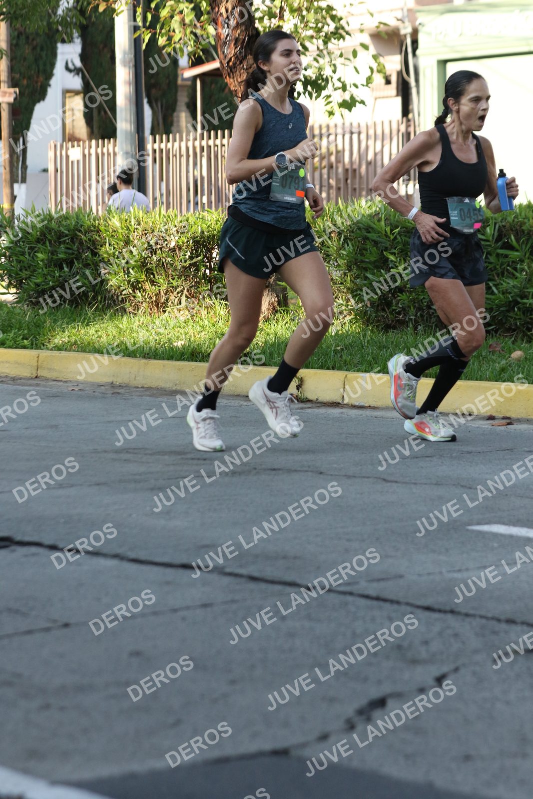 Foto de ADIDAS SPLITS GUADALAJARA 15K / 30K en Av. San Ignacio esquina Av. Ignacio L. Vallarta, Zapopan a las 08:06 · dorsal 79