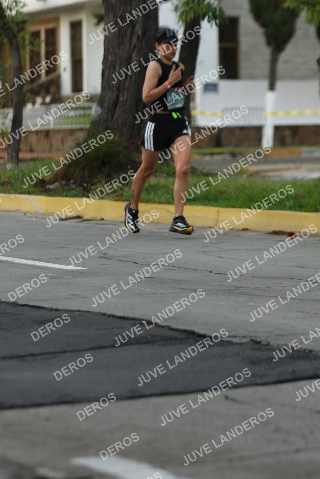 Foto de ADIDAS SPLITS GUADALAJARA 15K / 30K en Av. San Ignacio esquina Av. Ignacio L. Vallarta, Zapopan a las 07:03