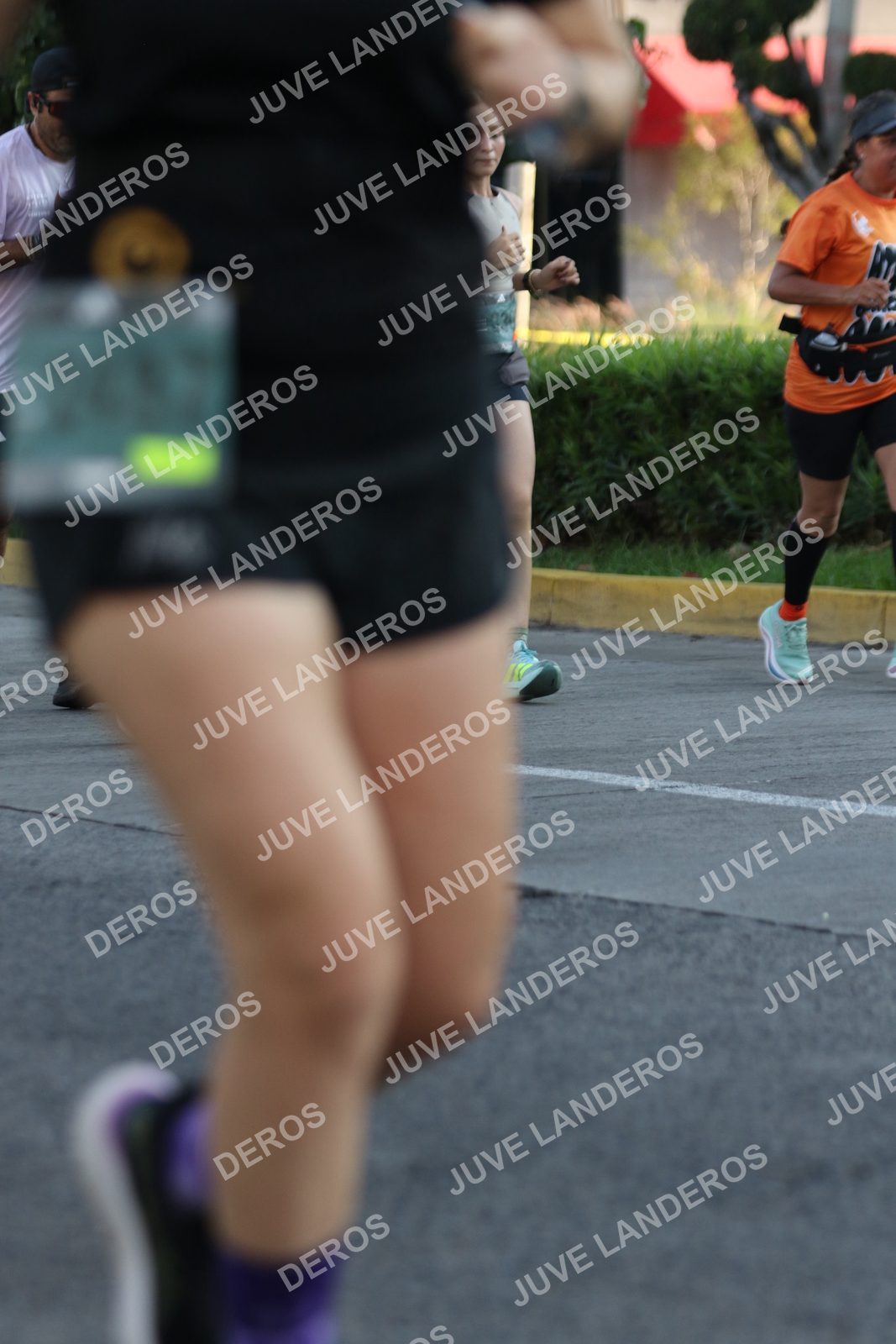 Foto de ADIDAS SPLITS GUADALAJARA 15K / 30K en Av. San Ignacio esquina Av. Ignacio L. Vallarta, Zapopan a las 07:44