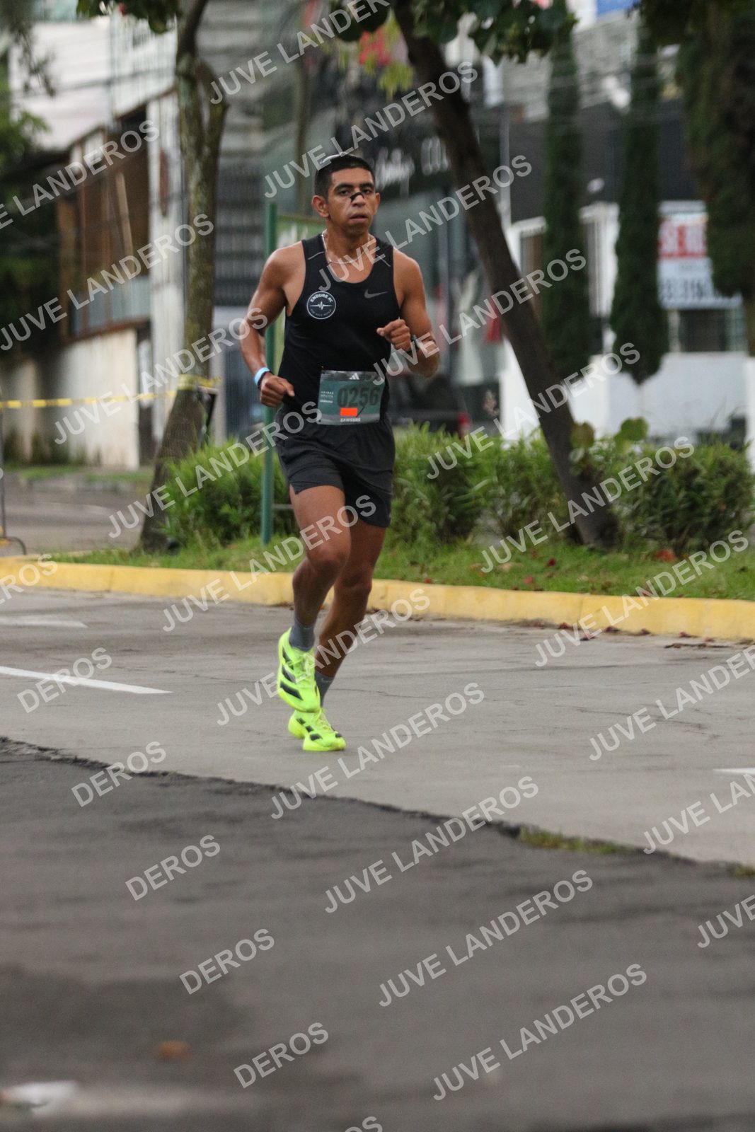 Foto de ADIDAS SPLITS GUADALAJARA 15K / 30K en Av. San Ignacio esquina Av. Ignacio L. Vallarta, Zapopan a las 06:49 · dorsal 256