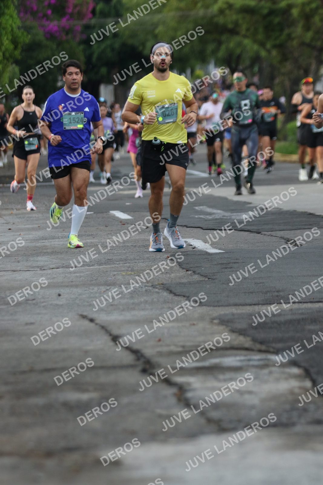 Foto de ADIDAS SPLITS GUADALAJARA 15K / 30K en Av. San Ignacio esquina Av. Ignacio L. Vallarta, Zapopan a las 07:06 · dorsal 267, 15240