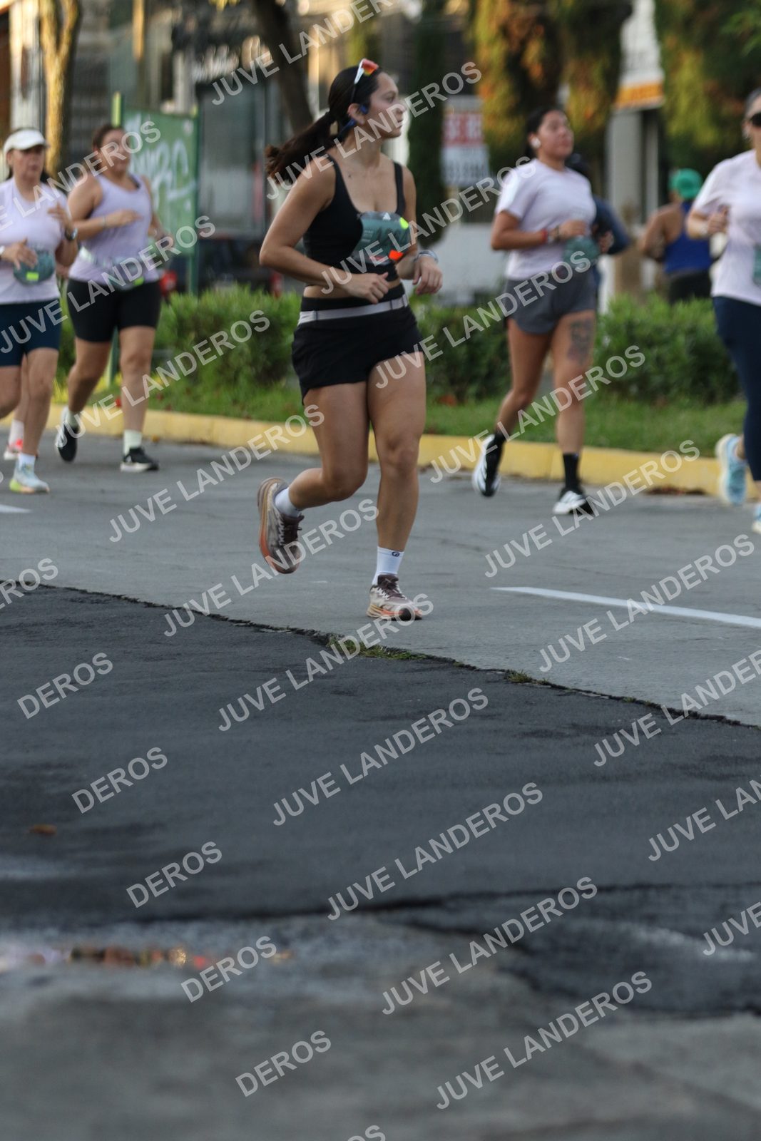 Foto de ADIDAS SPLITS GUADALAJARA 15K / 30K en Av. San Ignacio esquina Av. Ignacio L. Vallarta, Zapopan a las 07:15 · dorsal 1264