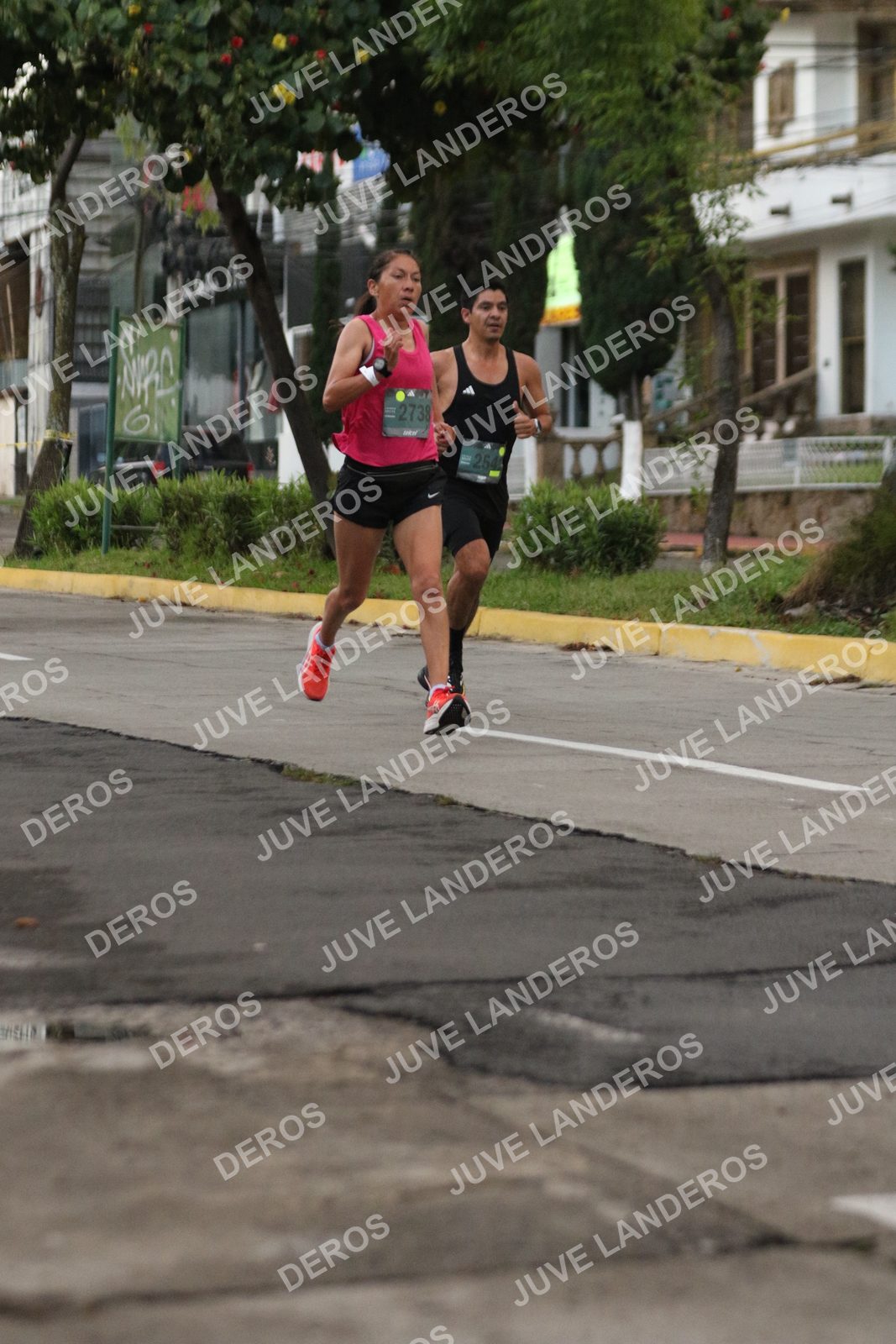 Foto de ADIDAS SPLITS GUADALAJARA 15K / 30K en Av. San Ignacio esquina Av. Ignacio L. Vallarta, Zapopan a las 06:48 · dorsal 2738