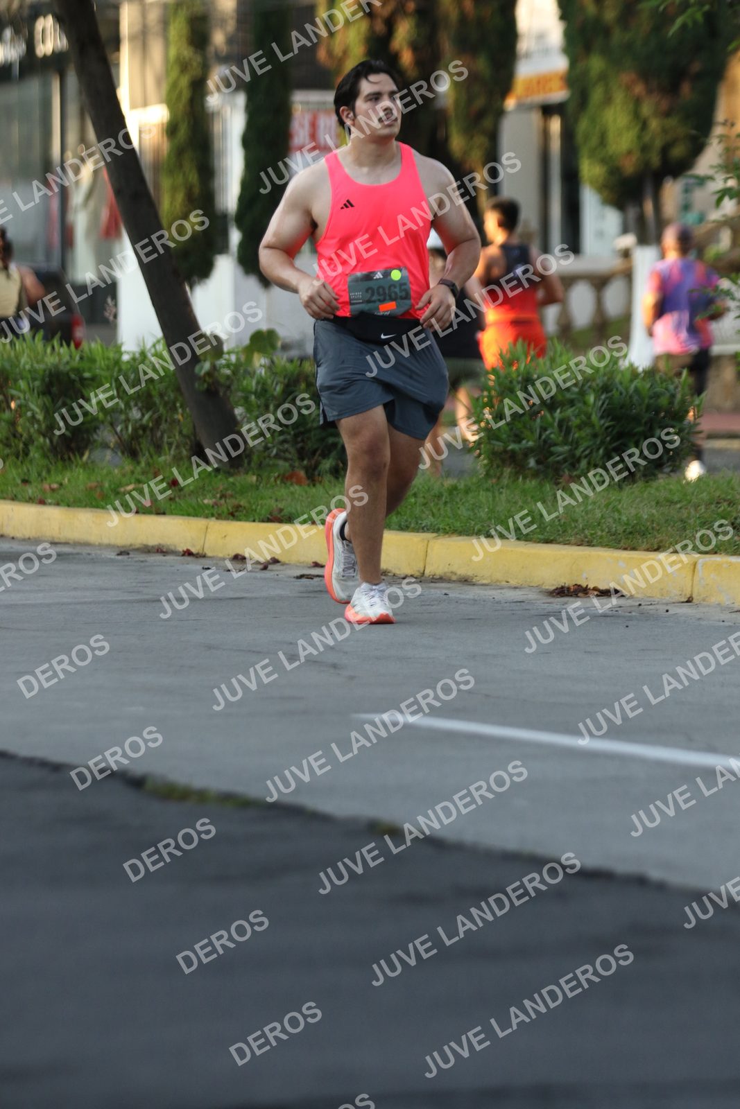 Foto de ADIDAS SPLITS GUADALAJARA 15K / 30K en Av. San Ignacio esquina Av. Ignacio L. Vallarta, Zapopan a las 07:22 · dorsal 2965