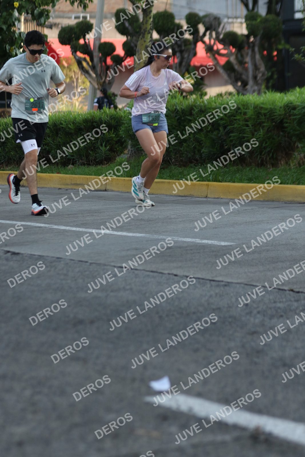 Foto de ADIDAS SPLITS GUADALAJARA 15K / 30K en Av. San Ignacio esquina Av. Ignacio L. Vallarta, Zapopan a las 07:30 · dorsal 2617