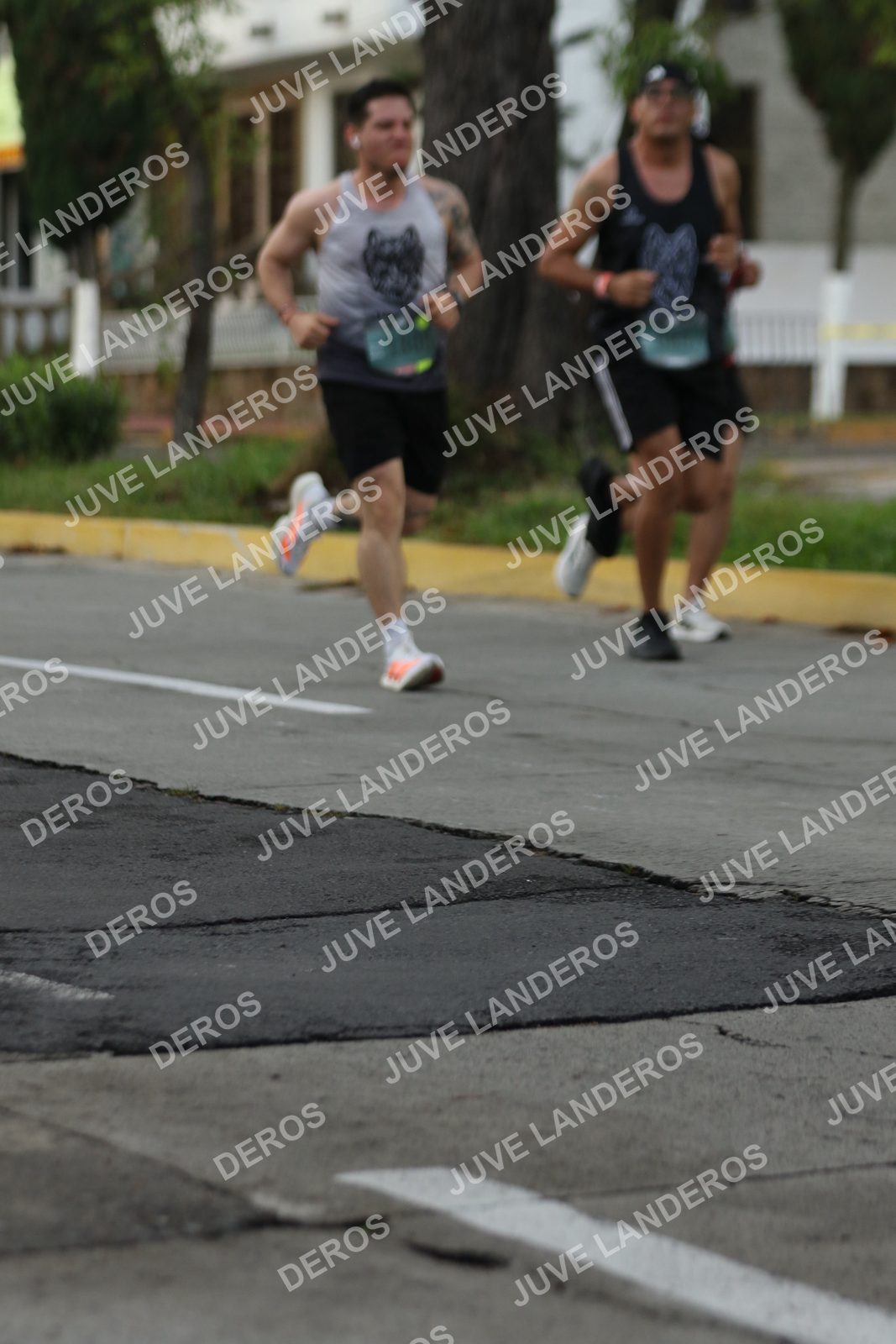 Foto de ADIDAS SPLITS GUADALAJARA 15K / 30K en Av. San Ignacio esquina Av. Ignacio L. Vallarta, Zapopan a las 07:01