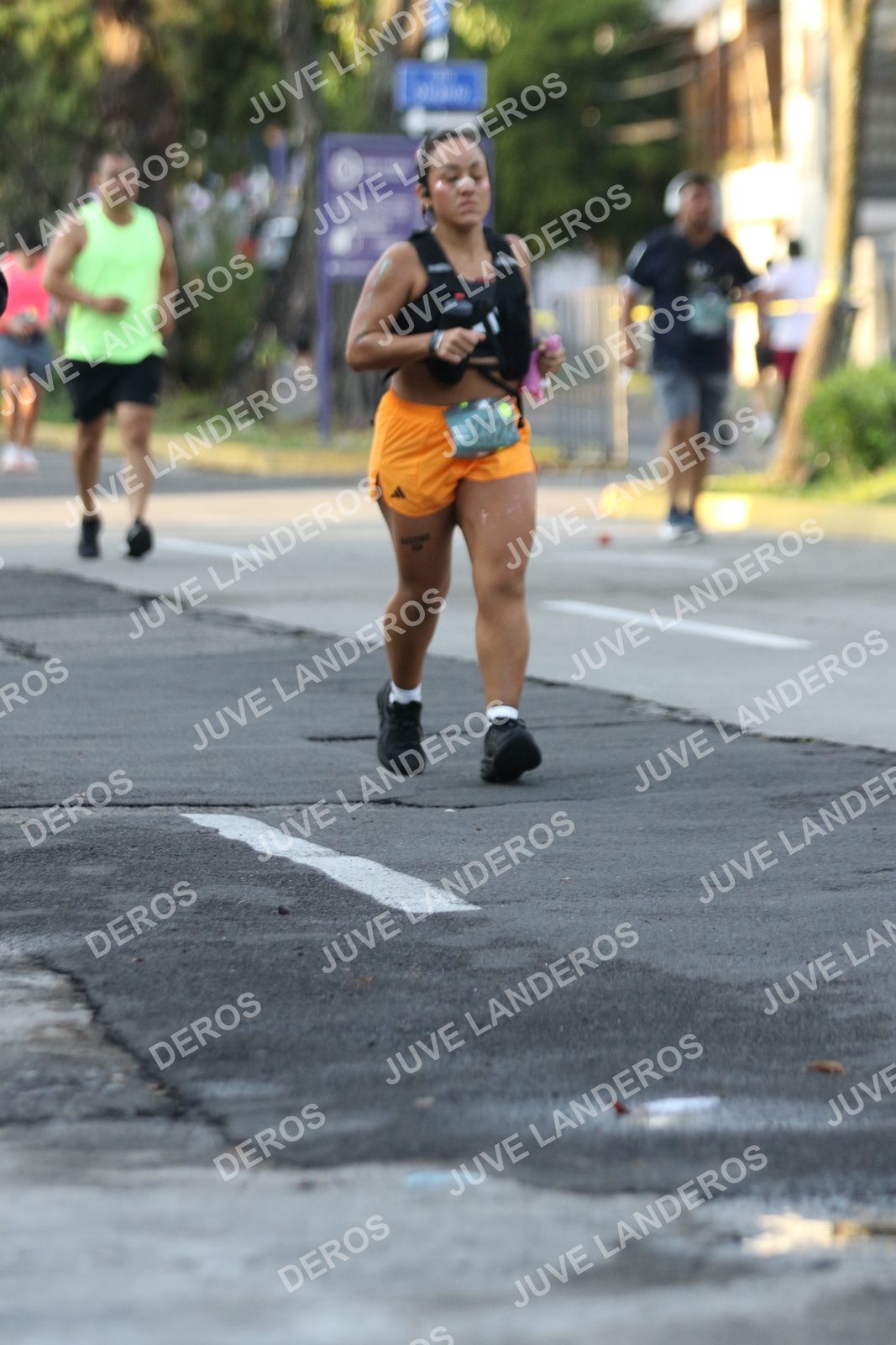 Foto de ADIDAS SPLITS GUADALAJARA 15K / 30K en Av. San Ignacio esquina Av. Ignacio L. Vallarta, Zapopan a las 07:22 · dorsal 252