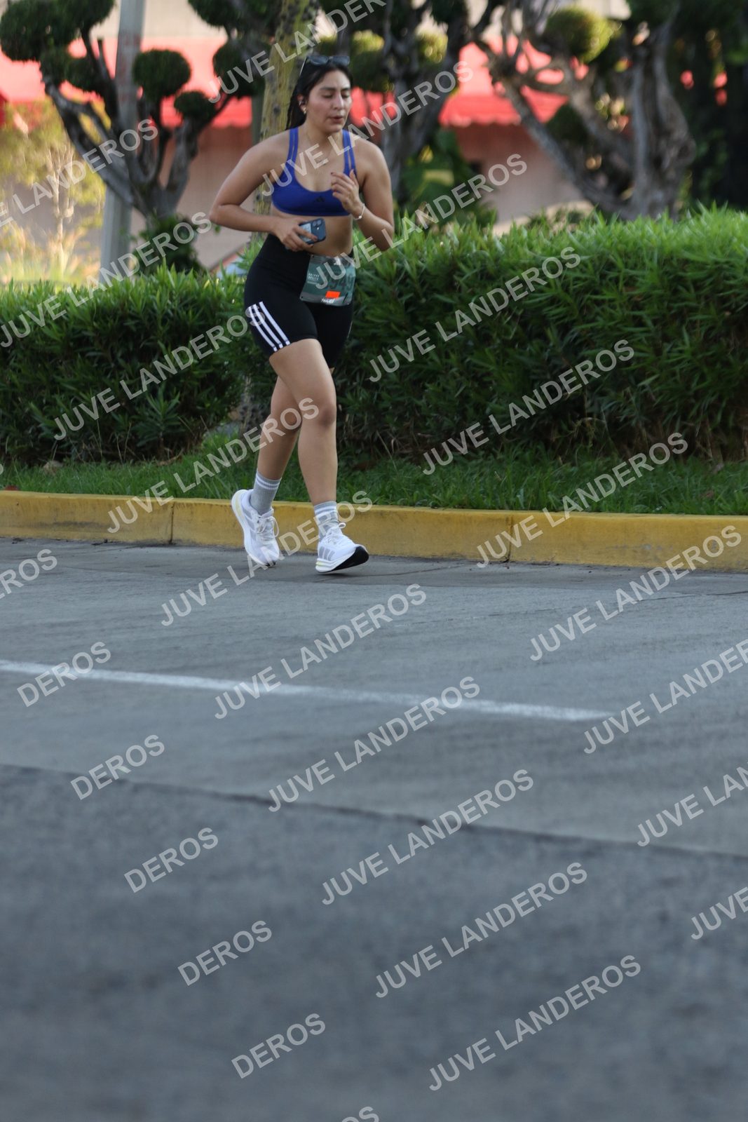 Foto de ADIDAS SPLITS GUADALAJARA 15K / 30K en Av. San Ignacio esquina Av. Ignacio L. Vallarta, Zapopan a las 07:43 · dorsal 2949