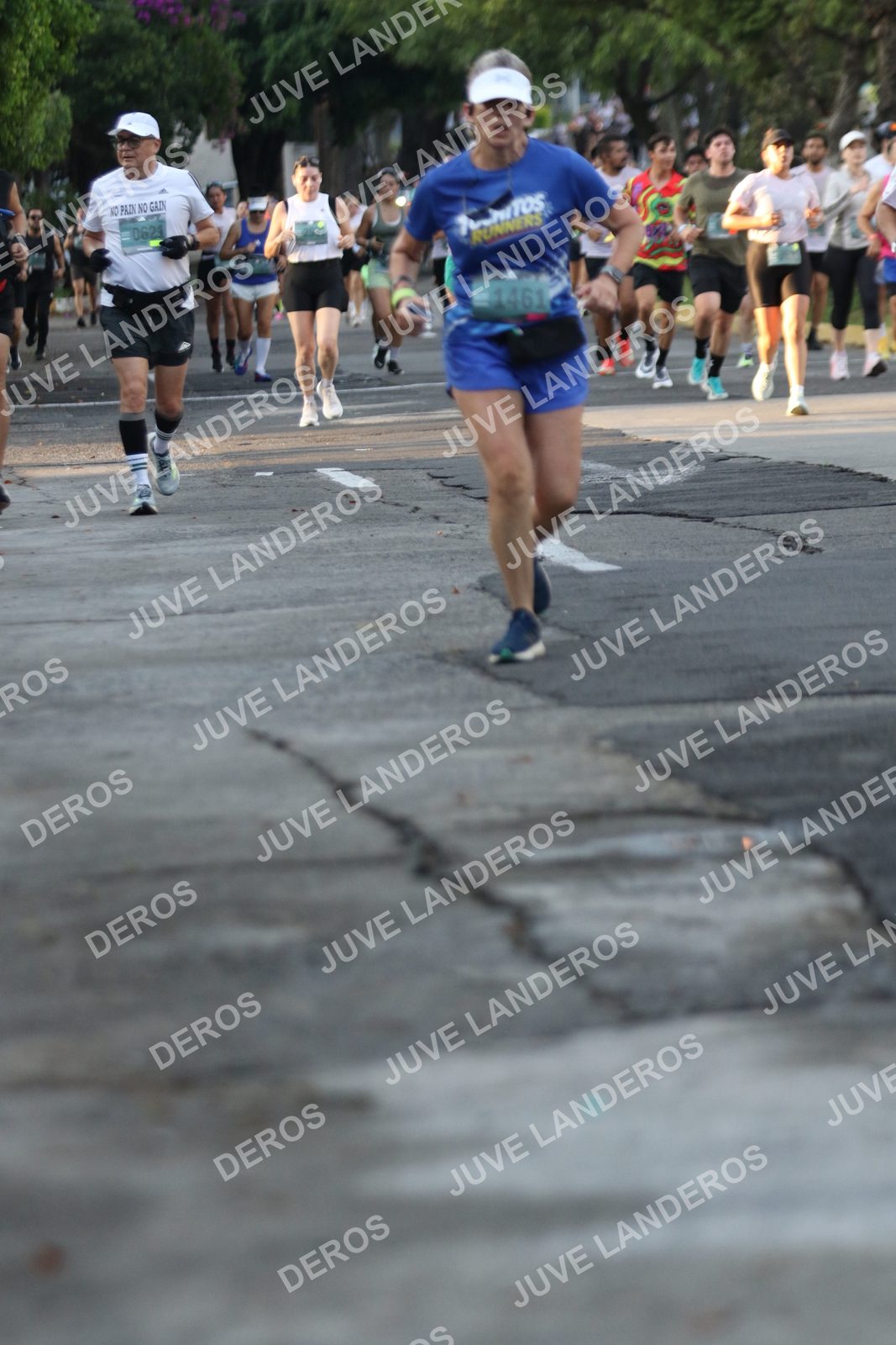 Foto de ADIDAS SPLITS GUADALAJARA 15K / 30K en Av. San Ignacio esquina Av. Ignacio L. Vallarta, Zapopan a las 07:14 · dorsal 1461