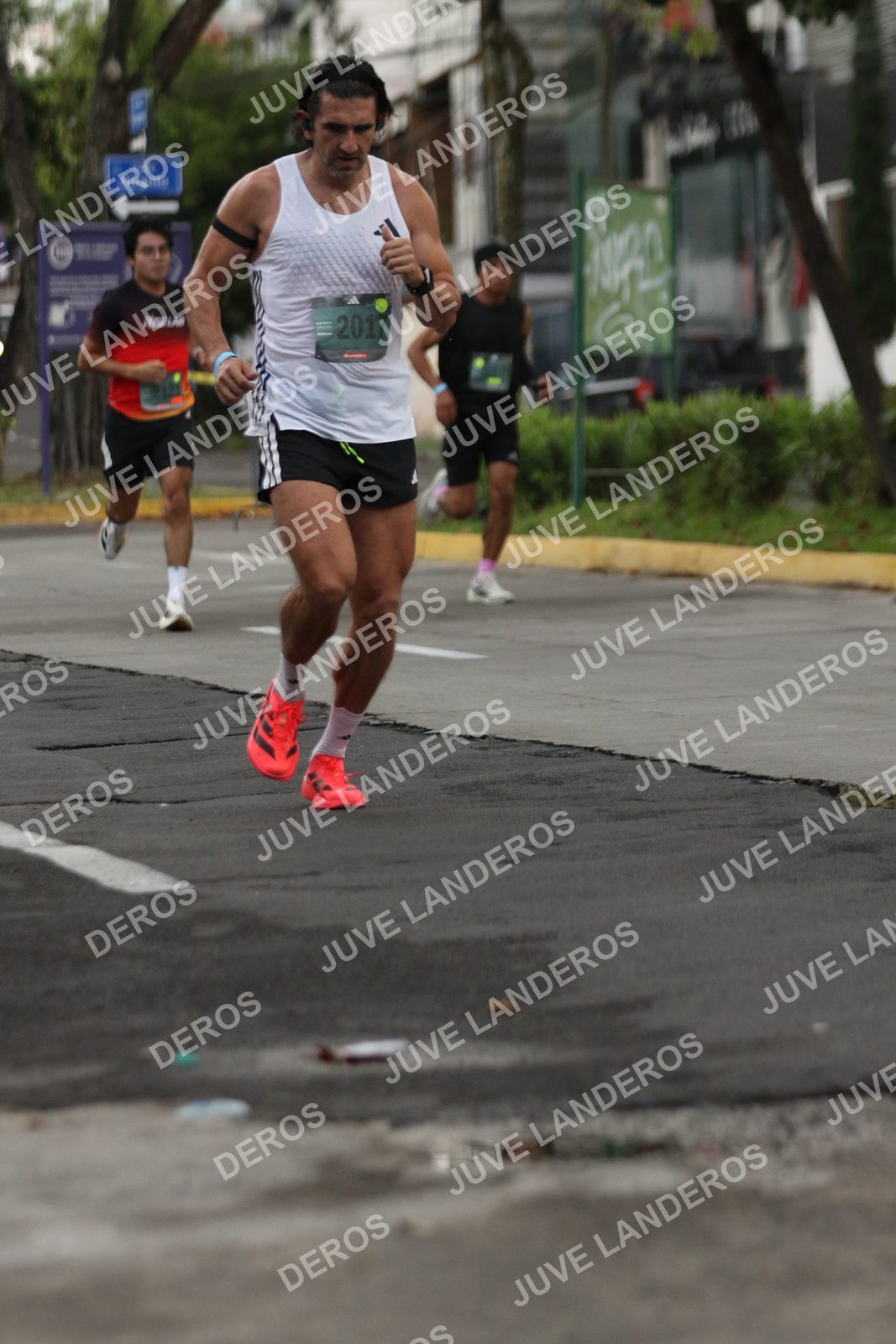 Foto de ADIDAS SPLITS GUADALAJARA 15K / 30K en Av. San Ignacio esquina Av. Ignacio L. Vallarta, Zapopan a las 06:53 · dorsal 2017