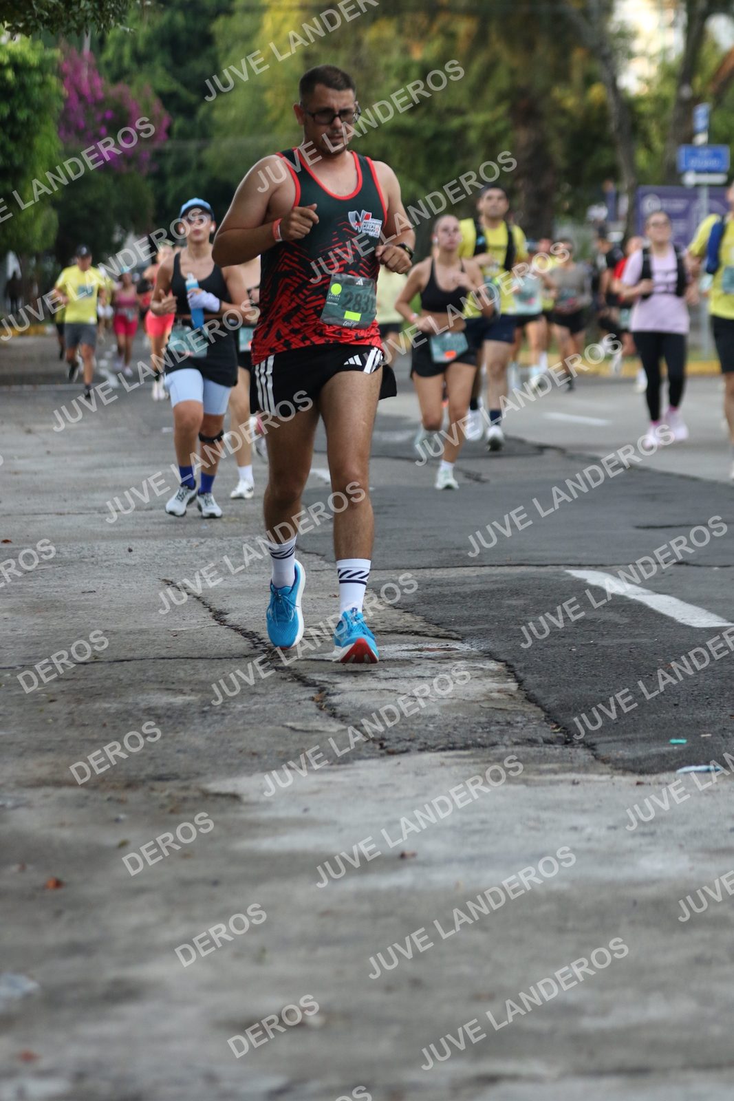 Foto de ADIDAS SPLITS GUADALAJARA 15K / 30K en Av. San Ignacio esquina Av. Ignacio L. Vallarta, Zapopan a las 07:07 · dorsal 2831
