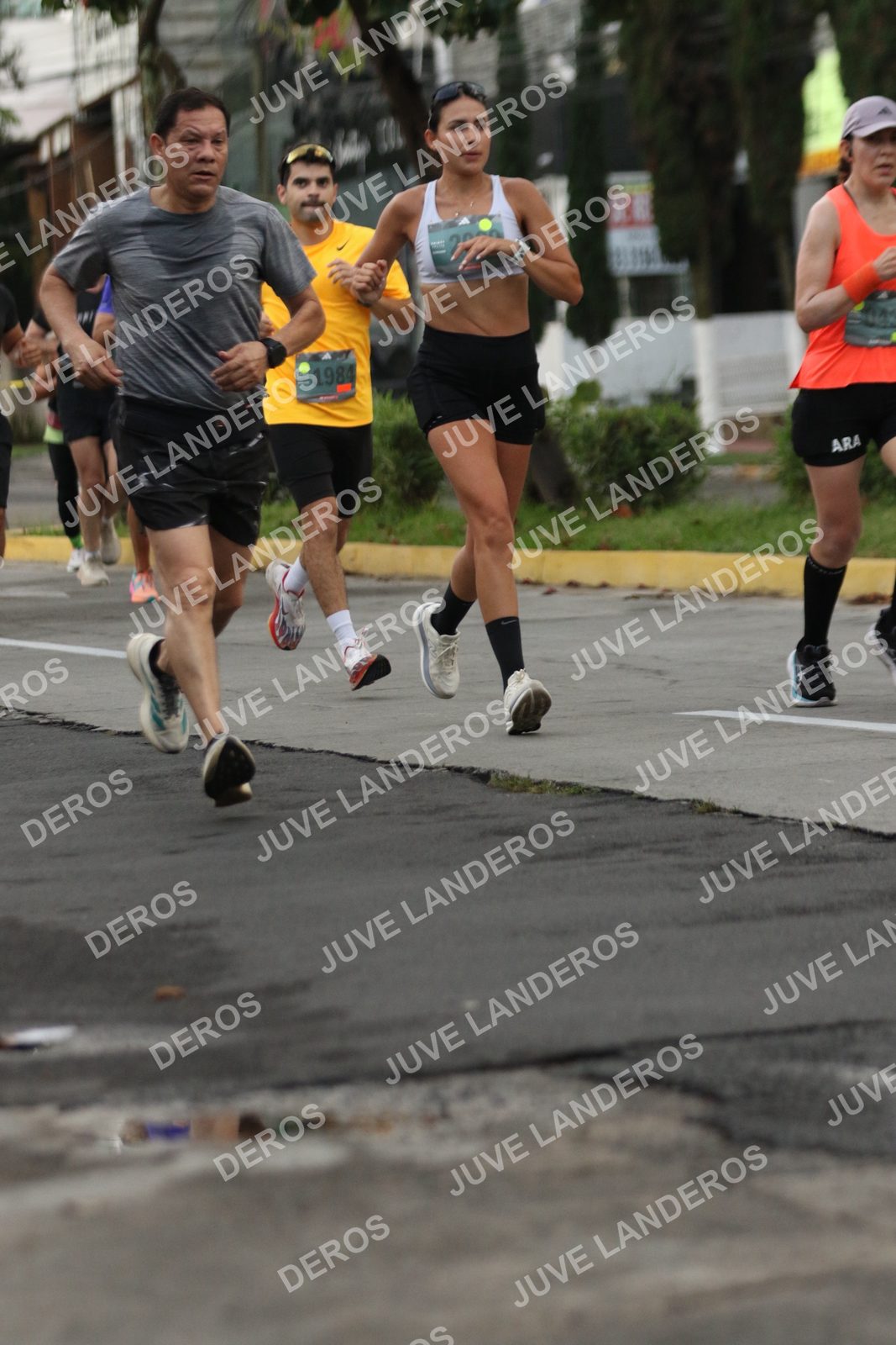 Foto de ADIDAS SPLITS GUADALAJARA 15K / 30K en Av. San Ignacio esquina Av. Ignacio L. Vallarta, Zapopan a las 06:54 · dorsal 1984