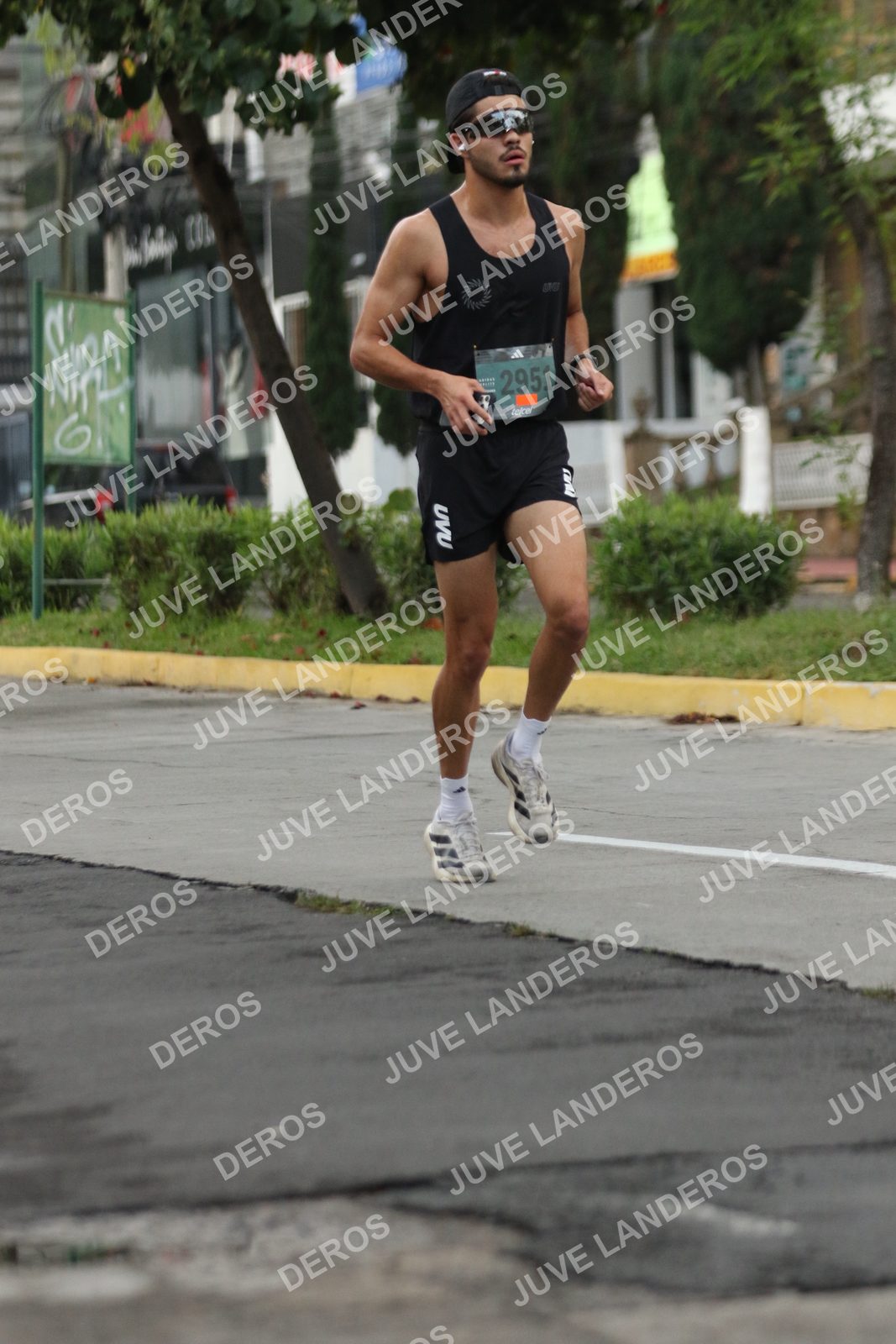 Foto de ADIDAS SPLITS GUADALAJARA 15K / 30K en Av. San Ignacio esquina Av. Ignacio L. Vallarta, Zapopan a las 06:55 · dorsal 2951
