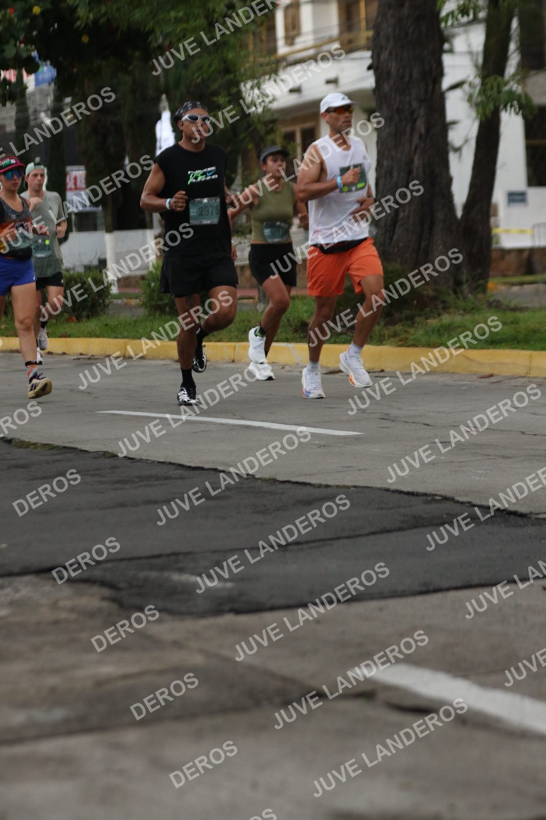 Foto de ADIDAS SPLITS GUADALAJARA 15K / 30K en Av. San Ignacio esquina Av. Ignacio L. Vallarta, Zapopan a las 06:53 · dorsal 2975