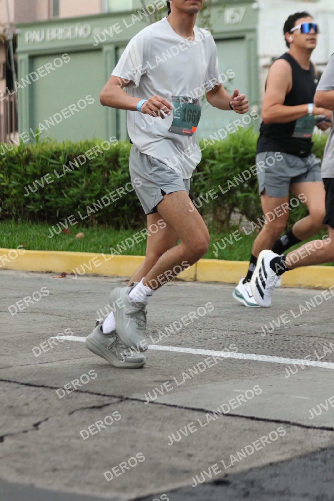 Foto de ADIDAS SPLITS GUADALAJARA 15K / 30K en Av. San Ignacio esquina Av. Ignacio L. Vallarta, Zapopan a las 06:56 · dorsal 1664
