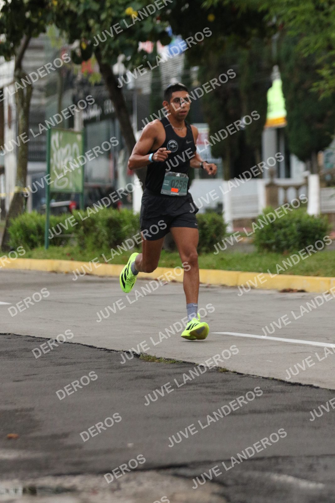 Foto de ADIDAS SPLITS GUADALAJARA 15K / 30K en Av. San Ignacio esquina Av. Ignacio L. Vallarta, Zapopan a las 06:49 · dorsal 256