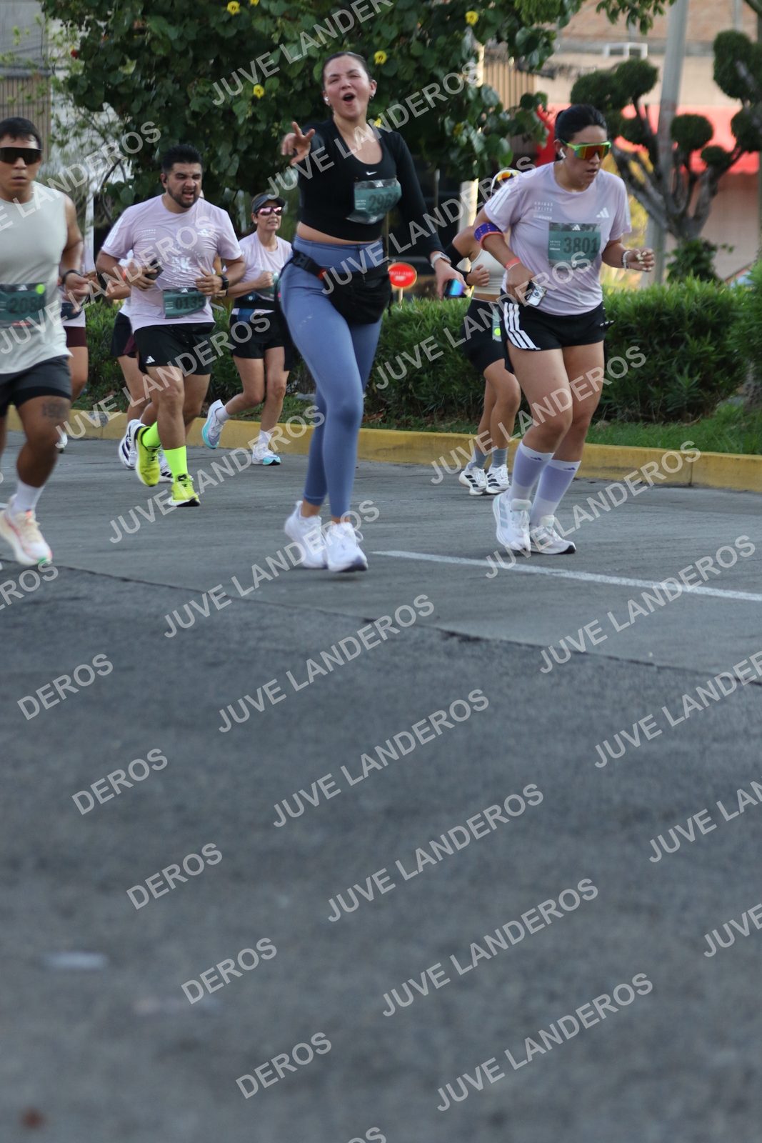 Foto de ADIDAS SPLITS GUADALAJARA 15K / 30K en Av. San Ignacio esquina Av. Ignacio L. Vallarta, Zapopan a las 07:37 · dorsal 3801, 2080, 135, 296