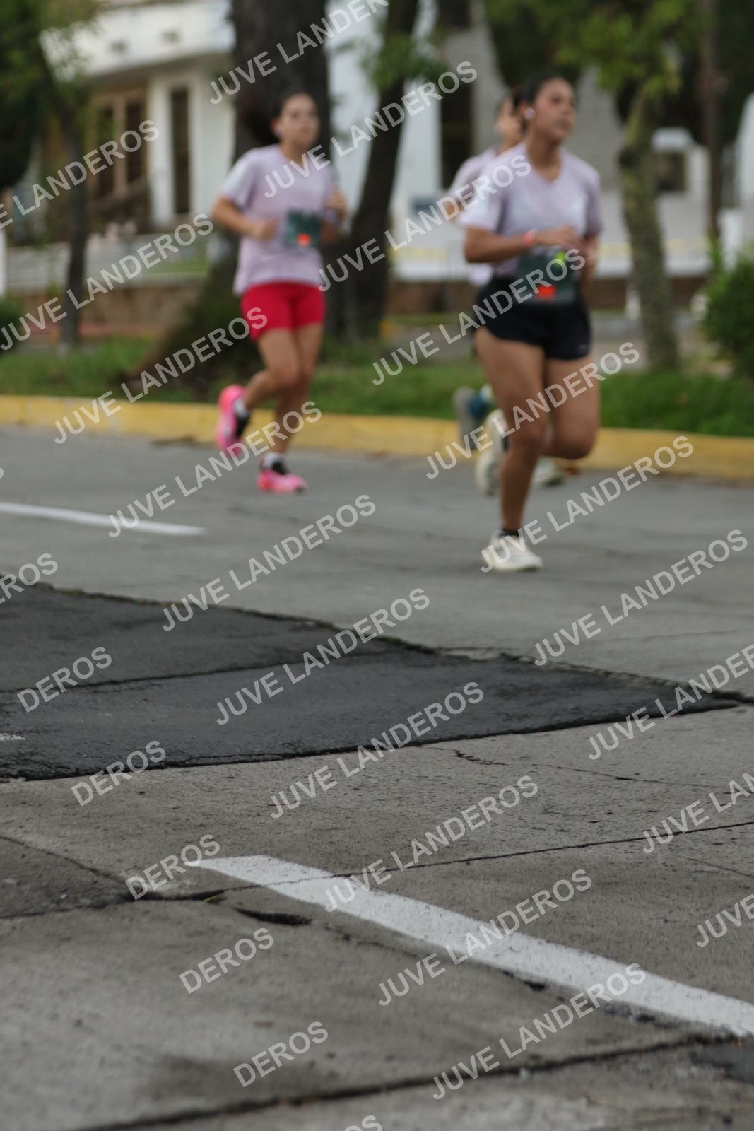 Foto de ADIDAS SPLITS GUADALAJARA 15K / 30K en Av. San Ignacio esquina Av. Ignacio L. Vallarta, Zapopan a las 07:00