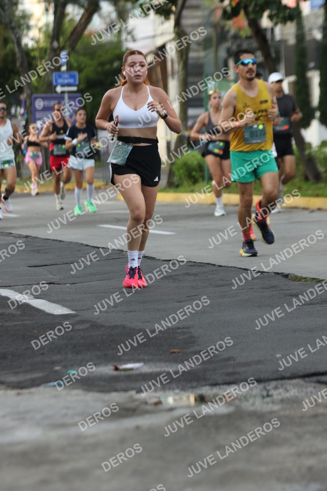Foto de ADIDAS SPLITS GUADALAJARA 15K / 30K en Av. San Ignacio esquina Av. Ignacio L. Vallarta, Zapopan a las 07:04 · dorsal 2892
