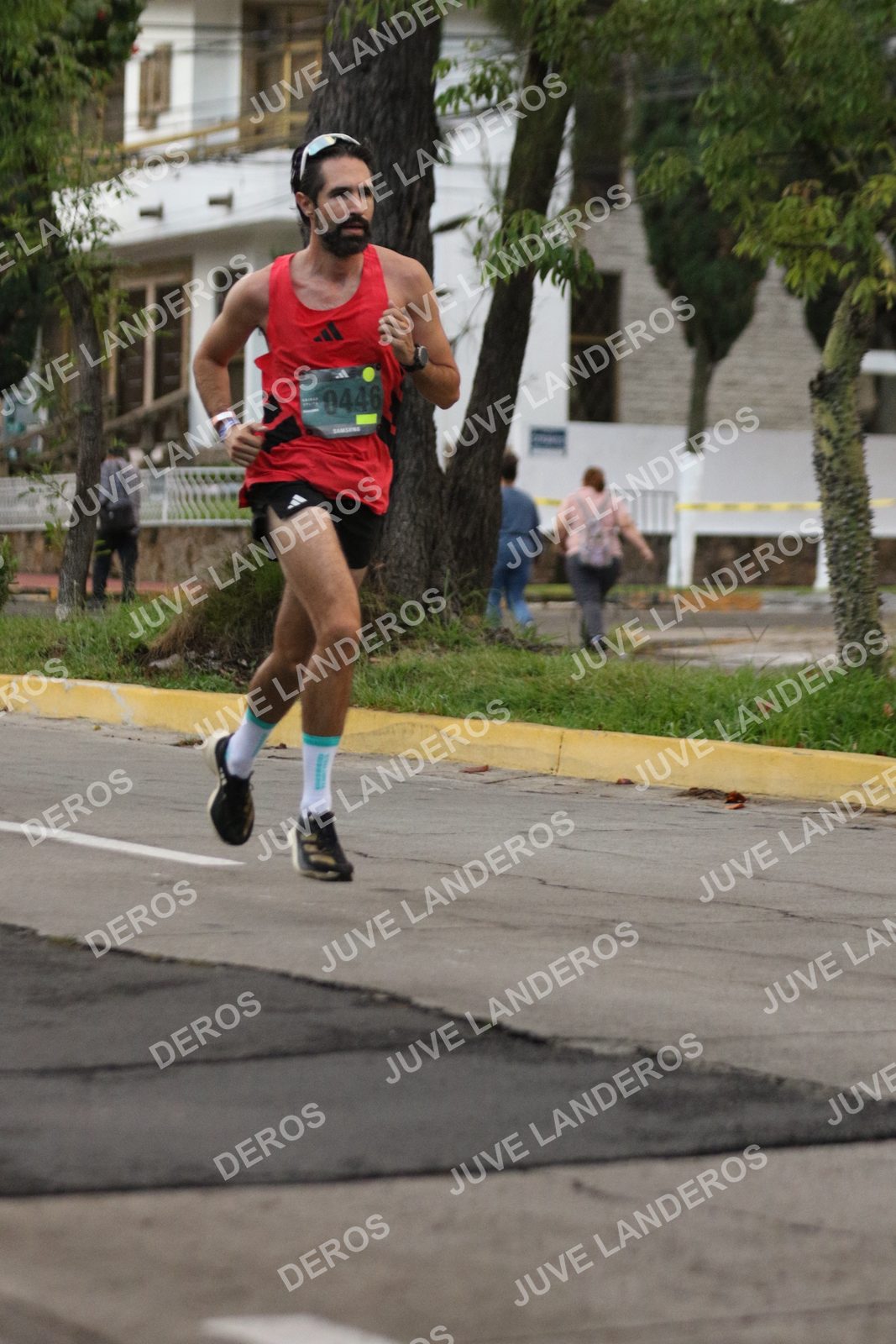 Foto de ADIDAS SPLITS GUADALAJARA 15K / 30K en Av. San Ignacio esquina Av. Ignacio L. Vallarta, Zapopan a las 06:47 · dorsal 446