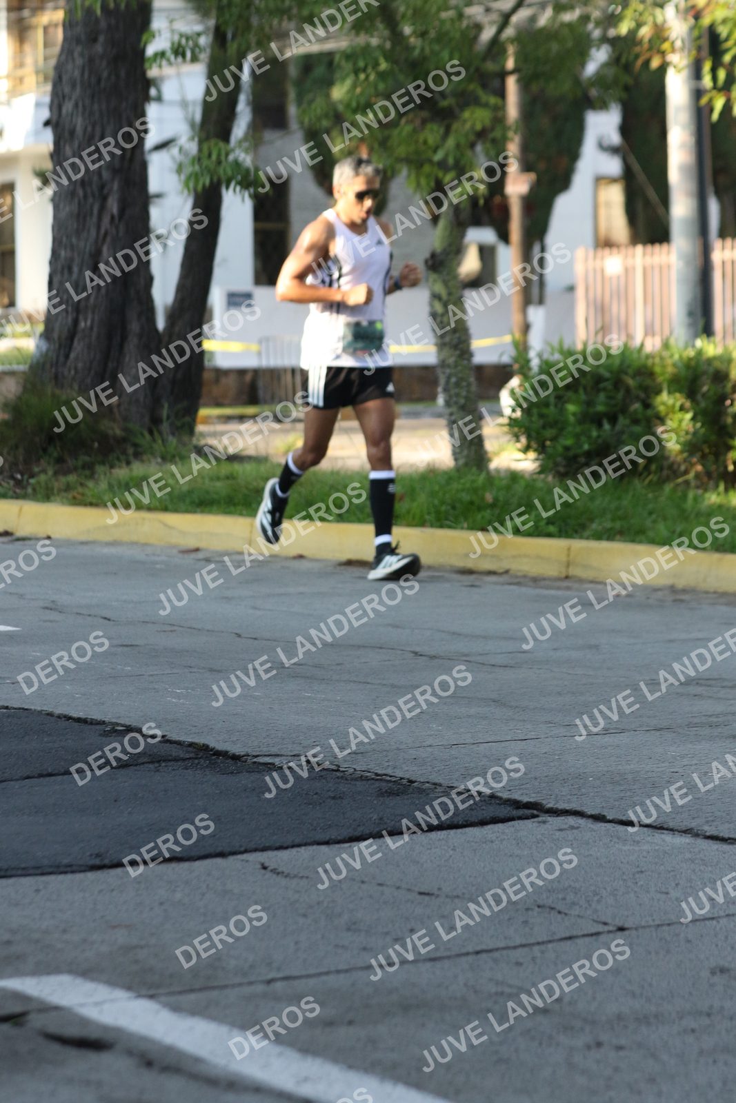 Foto de ADIDAS SPLITS GUADALAJARA 15K / 30K en Av. San Ignacio esquina Av. Ignacio L. Vallarta, Zapopan a las 08:03