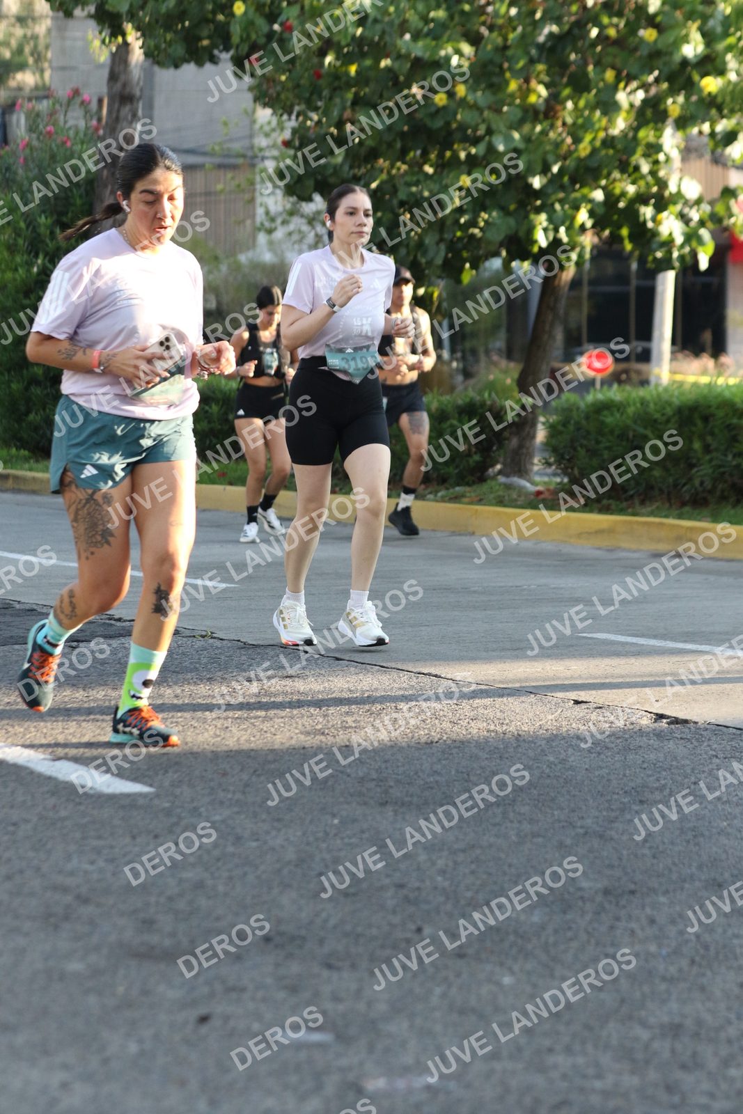 Foto de ADIDAS SPLITS GUADALAJARA 15K / 30K en Av. San Ignacio esquina Av. Ignacio L. Vallarta, Zapopan a las 07:54 · dorsal 3196