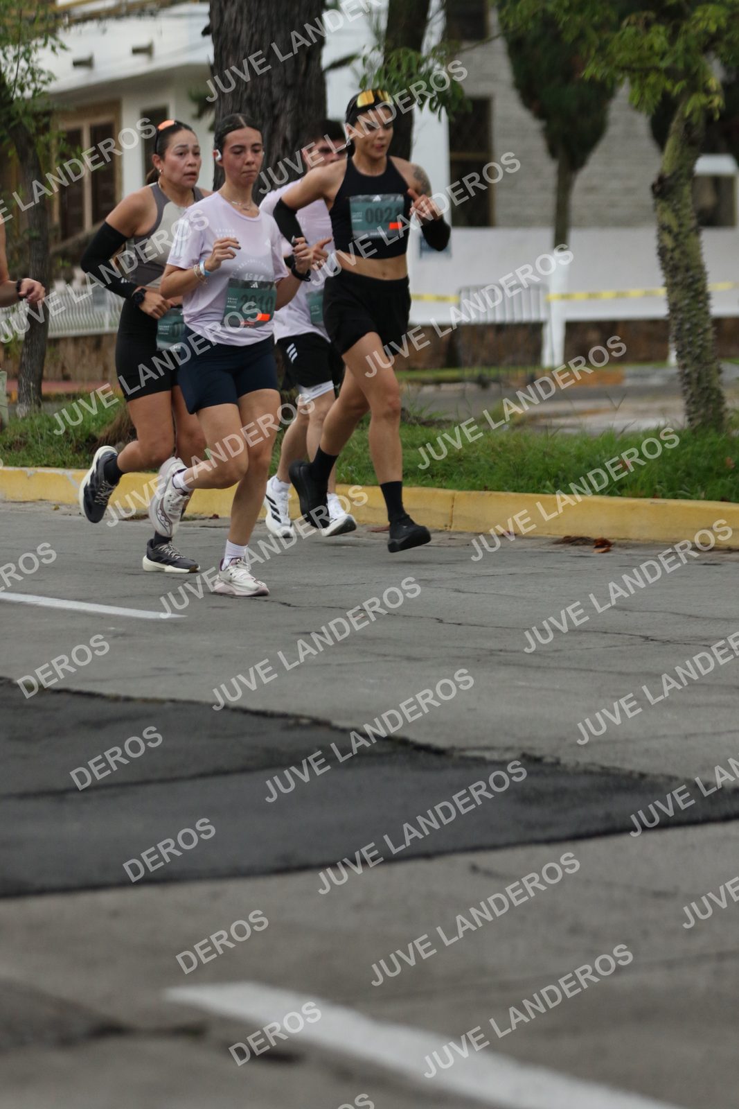 Foto de ADIDAS SPLITS GUADALAJARA 15K / 30K en Av. San Ignacio esquina Av. Ignacio L. Vallarta, Zapopan a las 06:56 · dorsal 2010