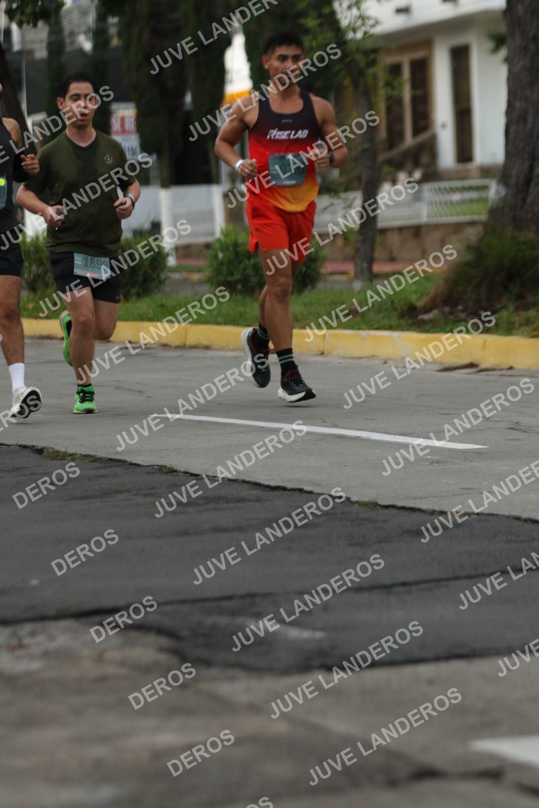 Foto de ADIDAS SPLITS GUADALAJARA 15K / 30K en Av. San Ignacio esquina Av. Ignacio L. Vallarta, Zapopan a las 06:56 · dorsal 1899, 387