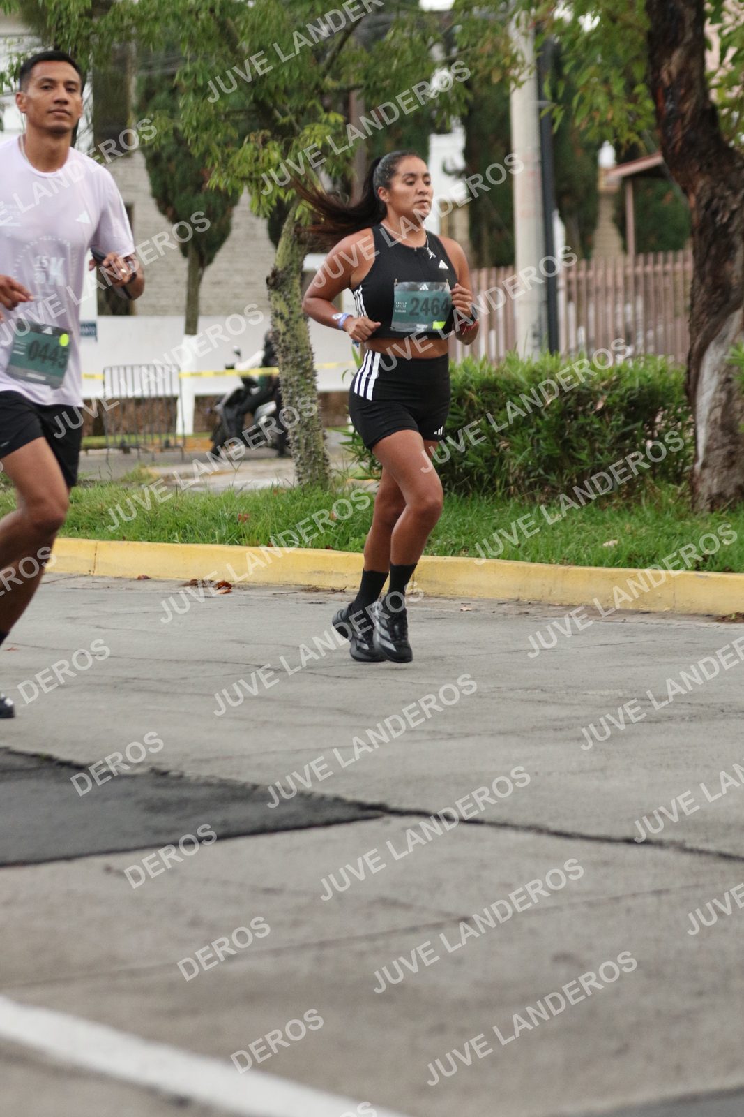Foto de ADIDAS SPLITS GUADALAJARA 15K / 30K en Av. San Ignacio esquina Av. Ignacio L. Vallarta, Zapopan a las 06:52 · dorsal 2464, 445