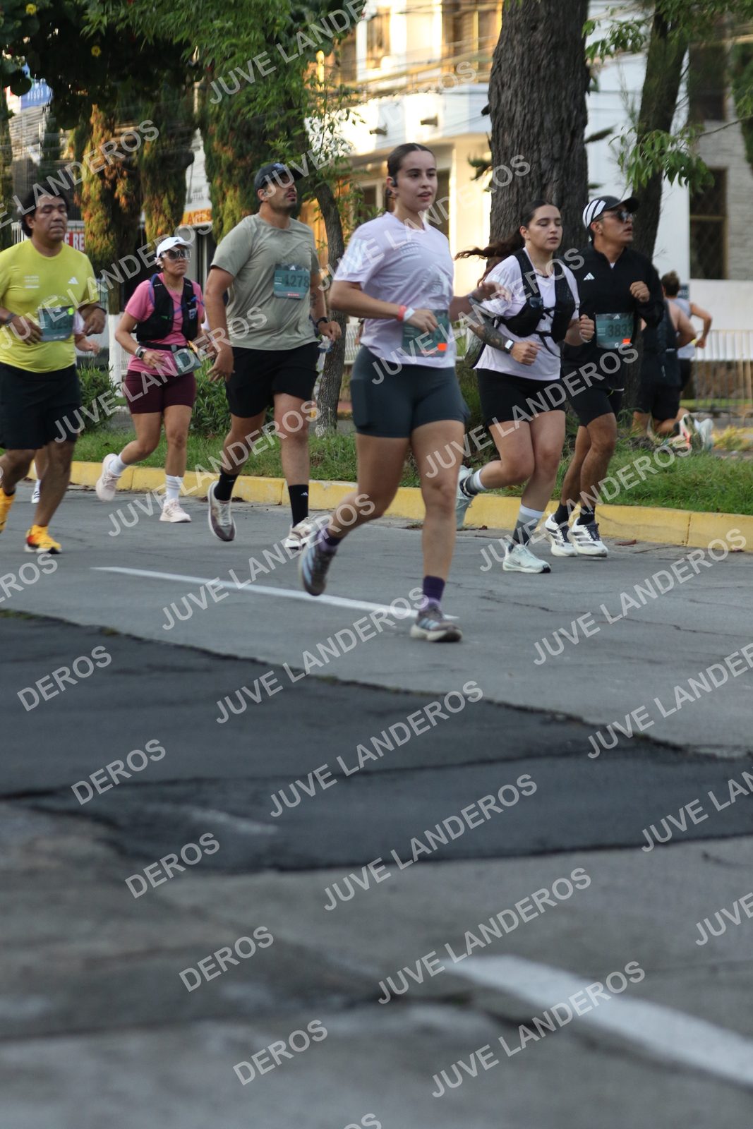 Foto de ADIDAS SPLITS GUADALAJARA 15K / 30K en Av. San Ignacio esquina Av. Ignacio L. Vallarta, Zapopan a las 07:16 · dorsal 3833, 29, 1278