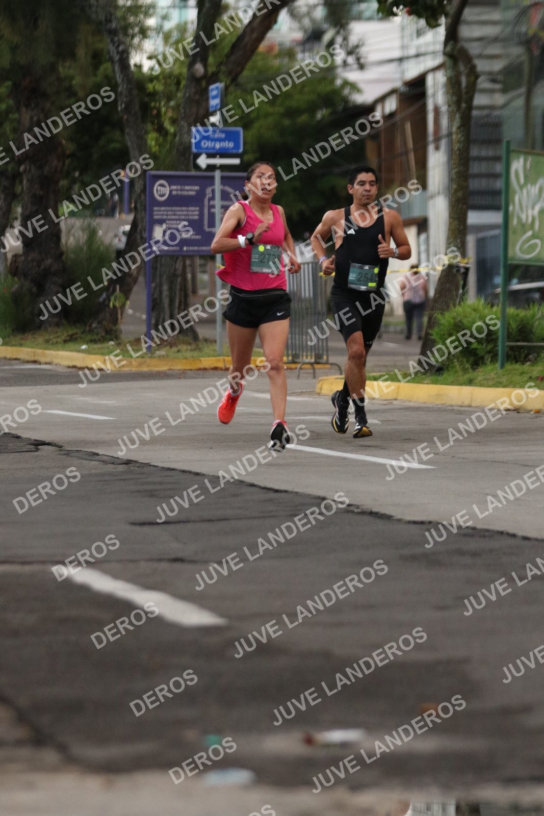 Foto de ADIDAS SPLITS GUADALAJARA 15K / 30K en Av. San Ignacio esquina Av. Ignacio L. Vallarta, Zapopan a las 06:48 · dorsal 2738