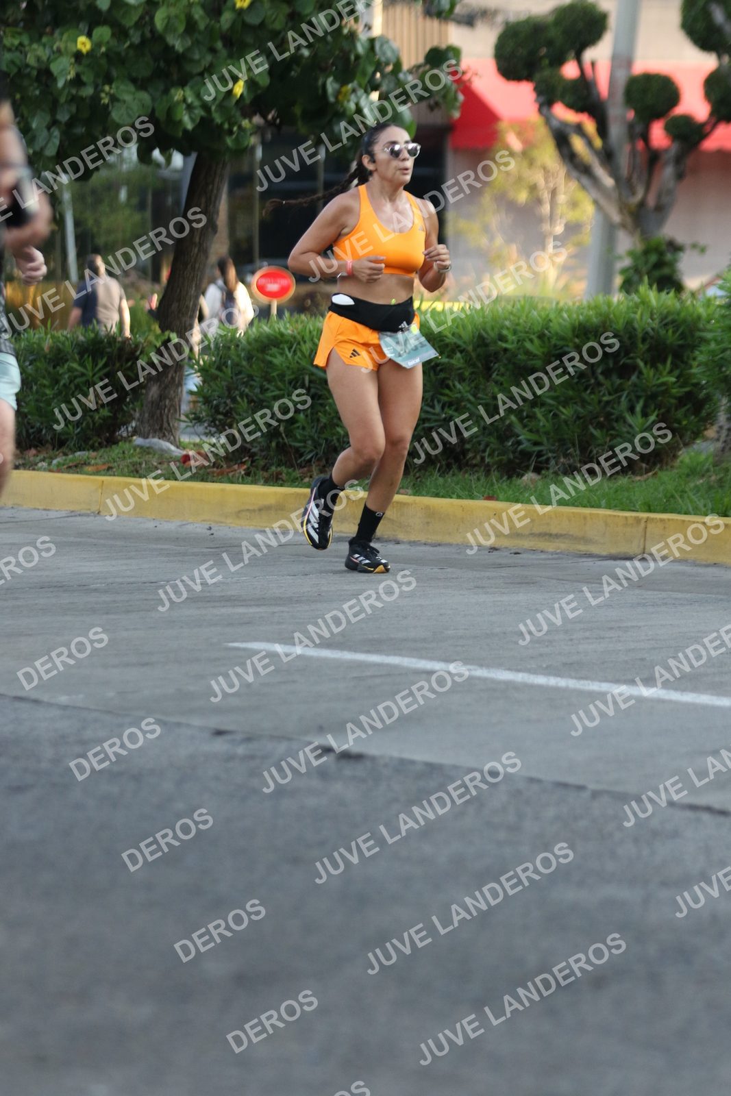Foto de ADIDAS SPLITS GUADALAJARA 15K / 30K en Av. San Ignacio esquina Av. Ignacio L. Vallarta, Zapopan a las 07:30
