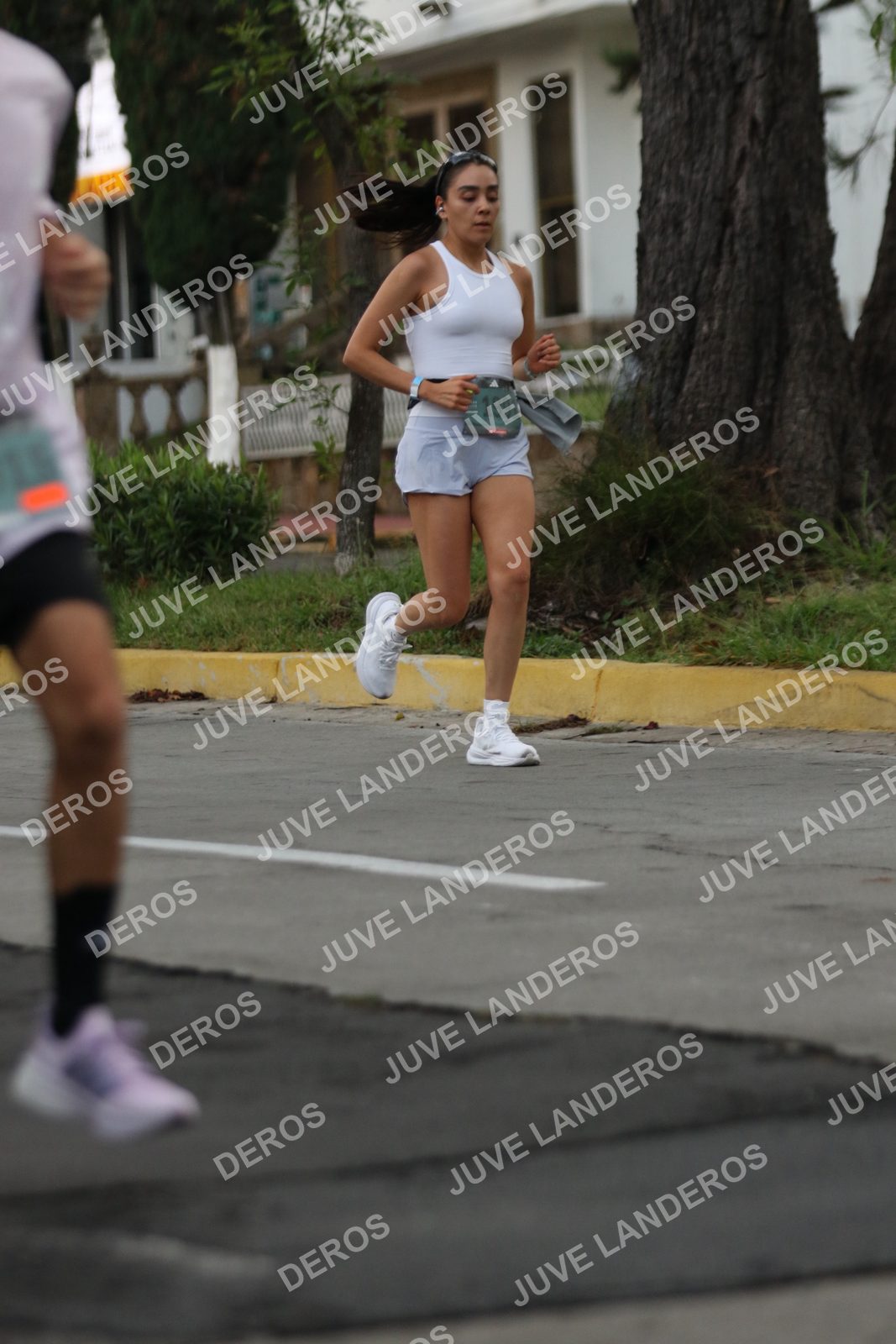 Foto de ADIDAS SPLITS GUADALAJARA 15K / 30K en Av. San Ignacio esquina Av. Ignacio L. Vallarta, Zapopan a las 06:55 · dorsal 199