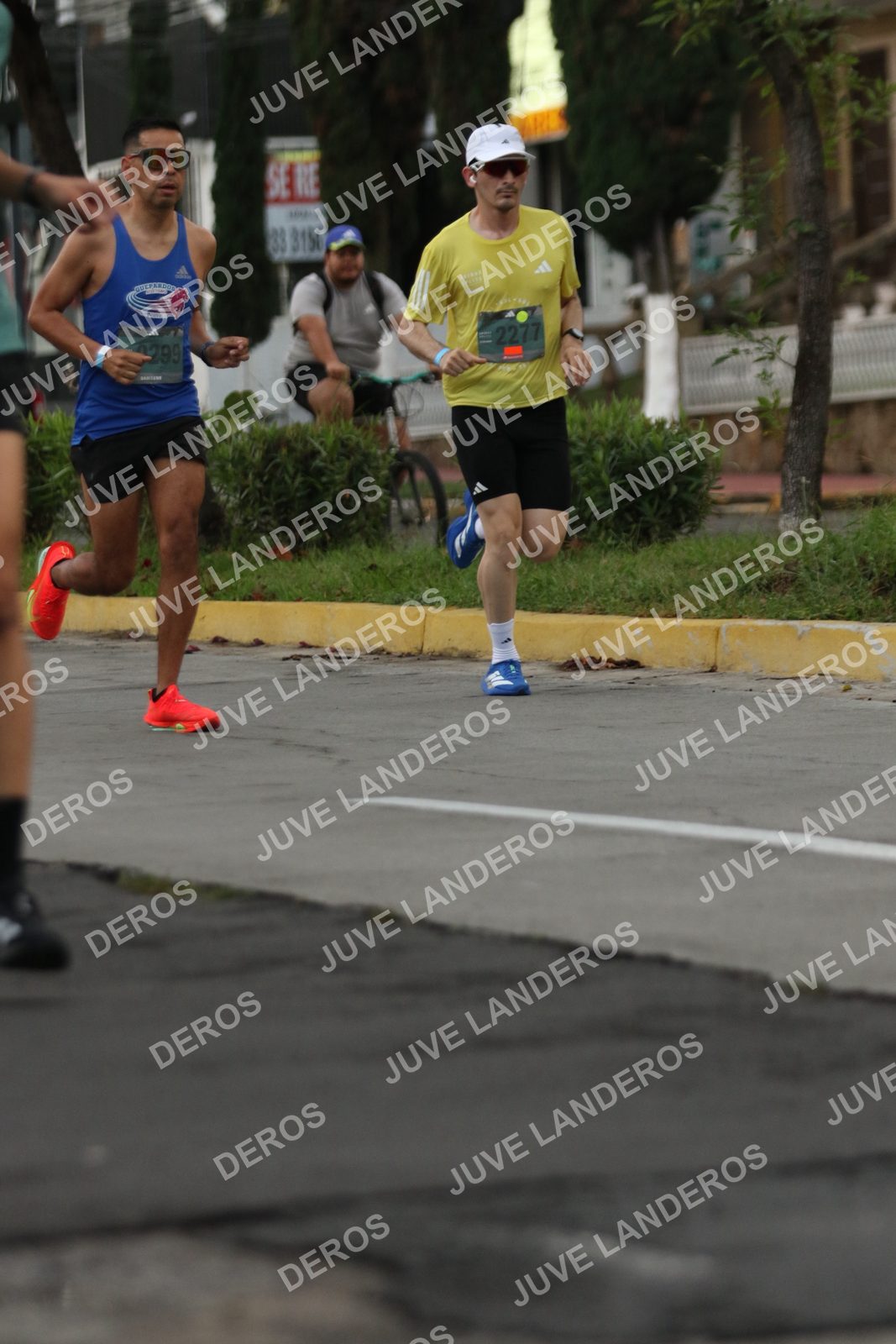 Foto de ADIDAS SPLITS GUADALAJARA 15K / 30K en Av. San Ignacio esquina Av. Ignacio L. Vallarta, Zapopan a las 06:54 · dorsal 2277, 3156