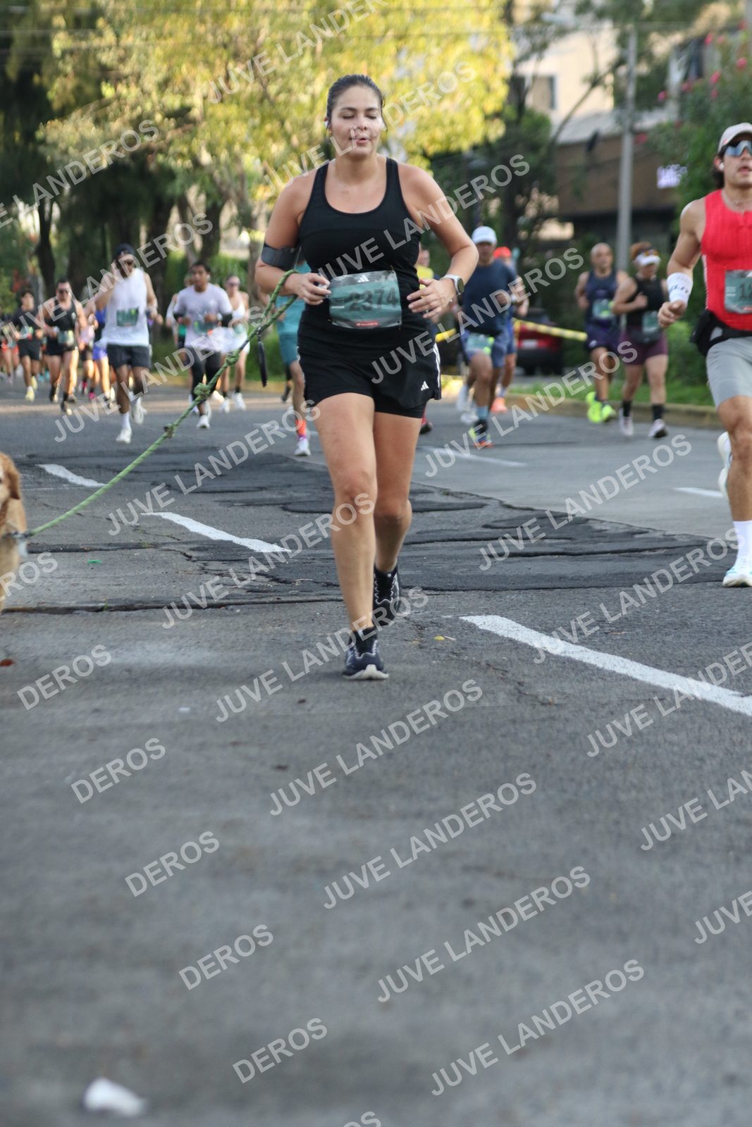 Foto de ADIDAS SPLITS GUADALAJARA 15K / 30K en Av. San Ignacio esquina Av. Ignacio L. Vallarta, Zapopan a las 07:31