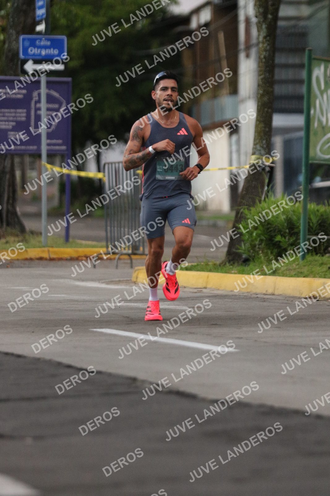 Foto de ADIDAS SPLITS GUADALAJARA 15K / 30K en Av. San Ignacio esquina Av. Ignacio L. Vallarta, Zapopan a las 06:47 · dorsal 443