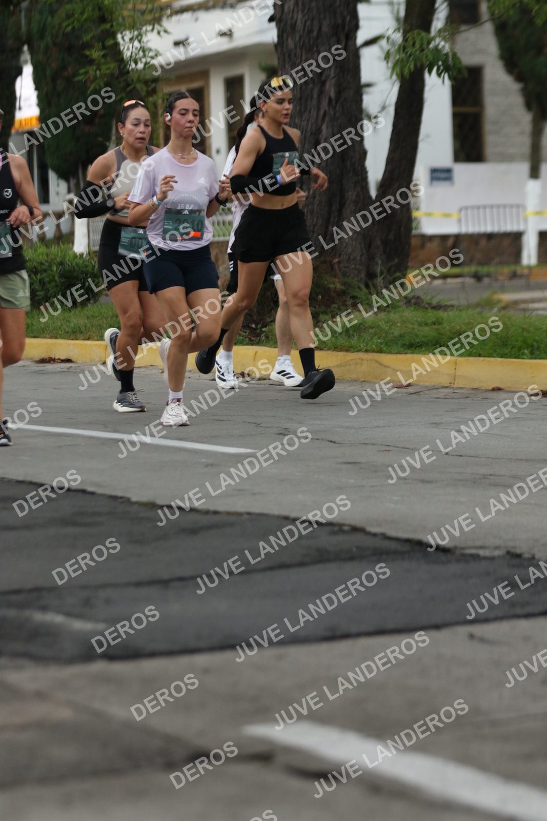 Foto de ADIDAS SPLITS GUADALAJARA 15K / 30K en Av. San Ignacio esquina Av. Ignacio L. Vallarta, Zapopan a las 06:56 · dorsal 2010