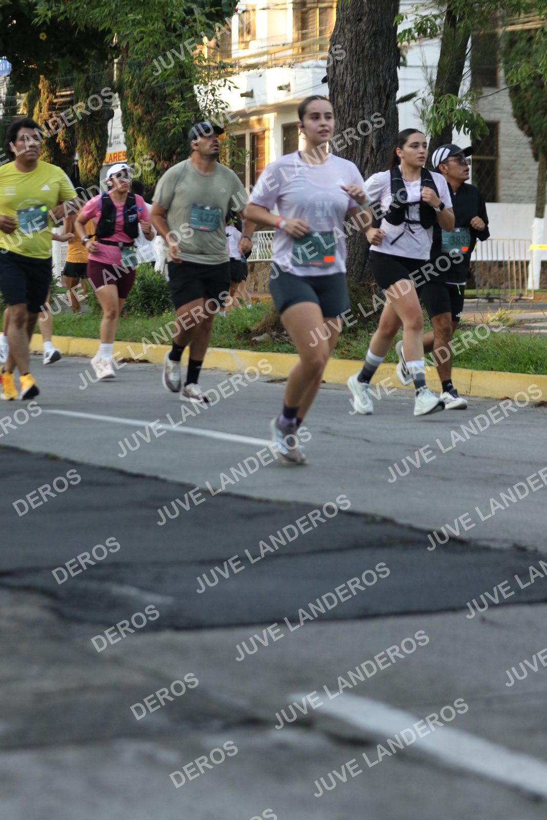 Foto de ADIDAS SPLITS GUADALAJARA 15K / 30K en Av. San Ignacio esquina Av. Ignacio L. Vallarta, Zapopan a las 07:16 · dorsal 2031, 3833, 1278