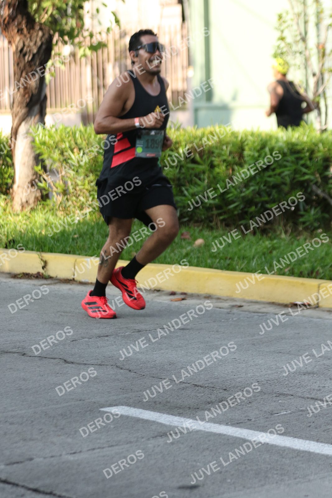 Foto de ADIDAS SPLITS GUADALAJARA 15K / 30K en Av. San Ignacio esquina Av. Ignacio L. Vallarta, Zapopan a las 08:20