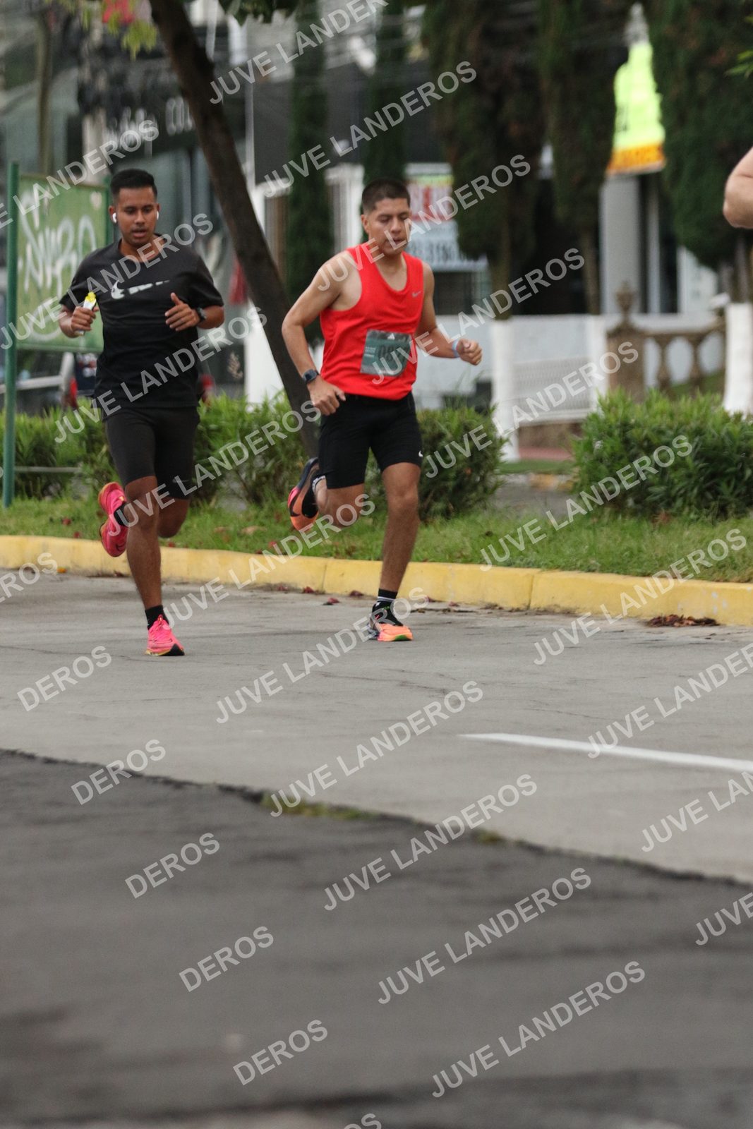 Foto de ADIDAS SPLITS GUADALAJARA 15K / 30K en Av. San Ignacio esquina Av. Ignacio L. Vallarta, Zapopan a las 06:50 · dorsal 827