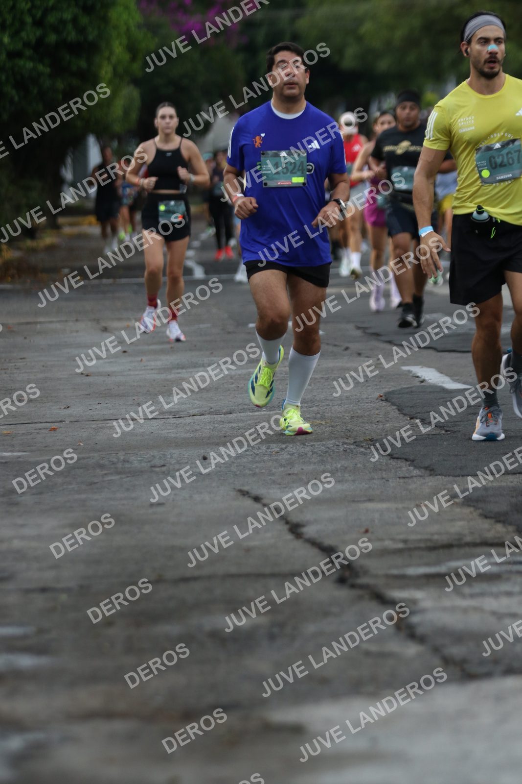 Foto de ADIDAS SPLITS GUADALAJARA 15K / 30K en Av. San Ignacio esquina Av. Ignacio L. Vallarta, Zapopan a las 07:06 · dorsal 1524