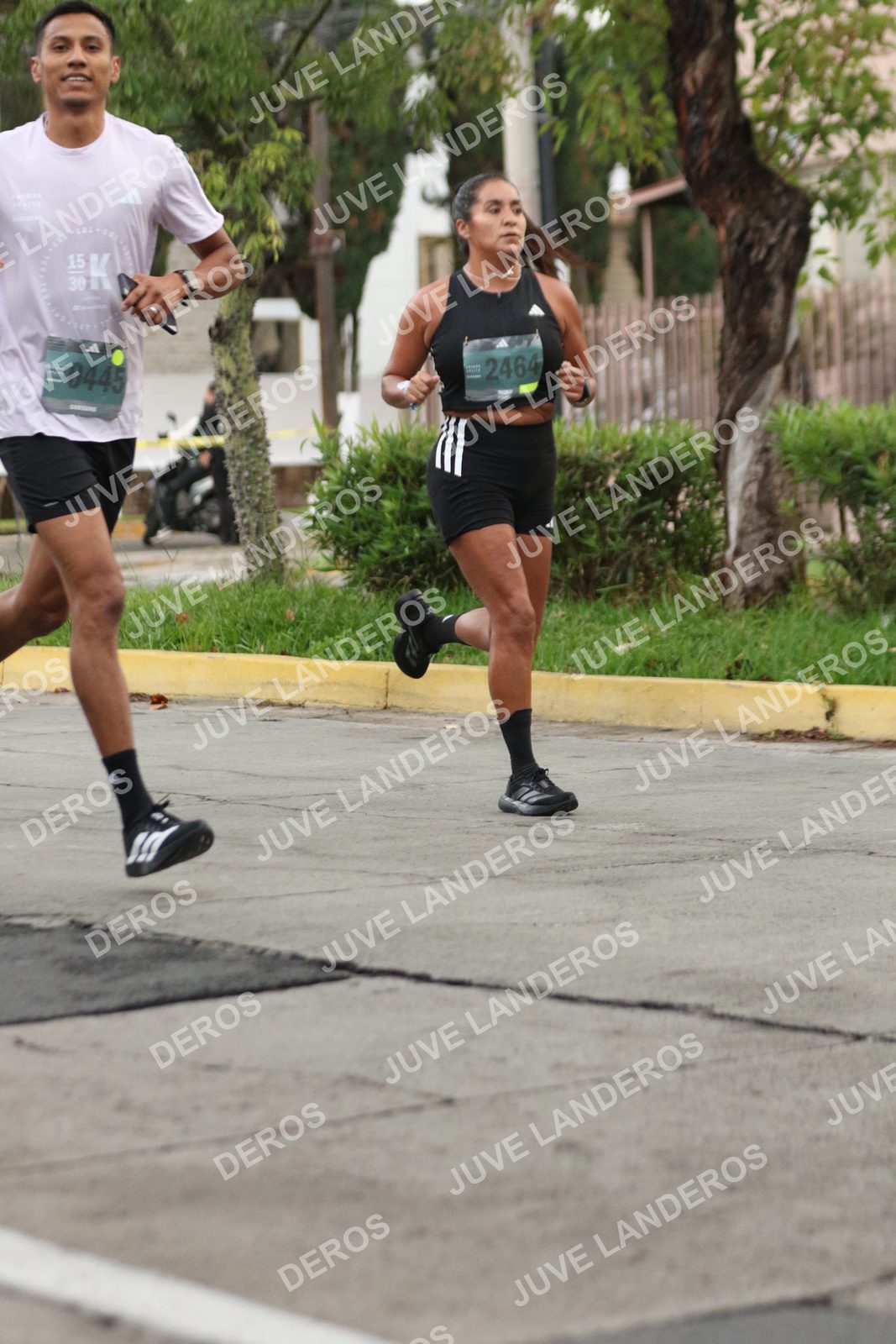 Foto de ADIDAS SPLITS GUADALAJARA 15K / 30K en Av. San Ignacio esquina Av. Ignacio L. Vallarta, Zapopan a las 06:52 · dorsal 445, 2464, 15, 30