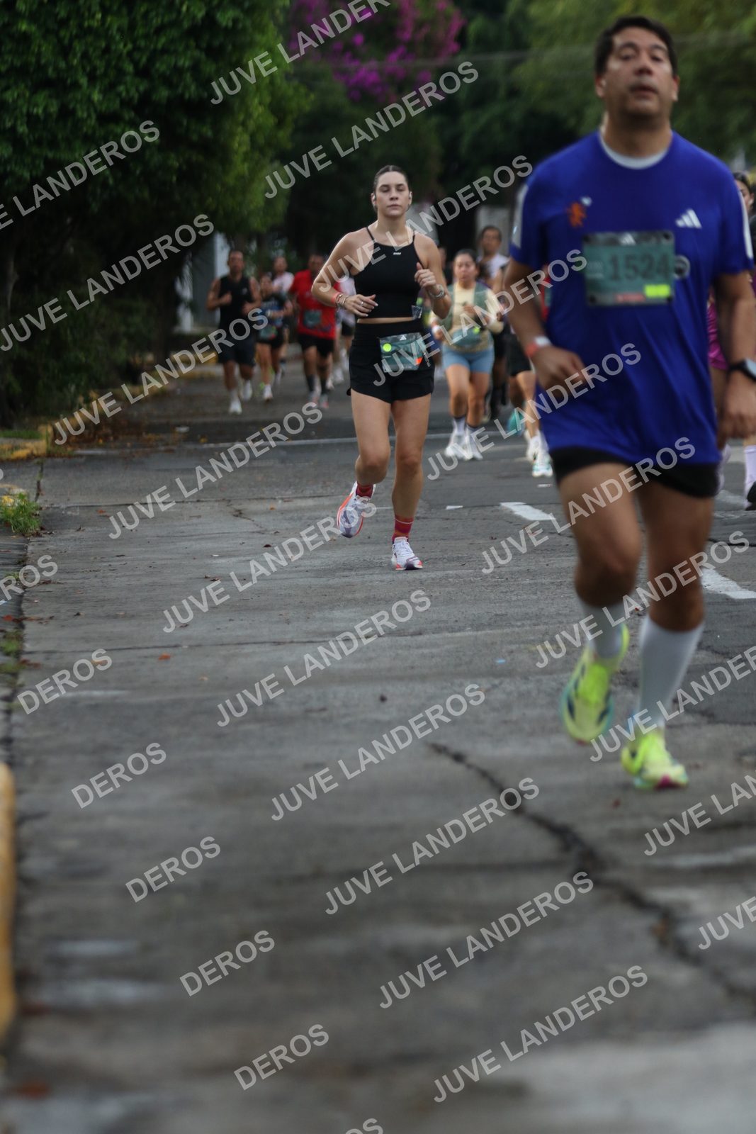 Foto de ADIDAS SPLITS GUADALAJARA 15K / 30K en Av. San Ignacio esquina Av. Ignacio L. Vallarta, Zapopan a las 07:06 · dorsal 1524
