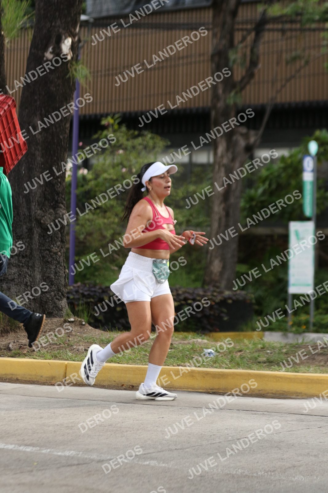 Foto de ADIDAS SPLITS GUADALAJARA 15K / 30K en Av. San Ignacio esquina Av. Ignacio L. Vallarta, Zapopan a las 09:03 · dorsal 251